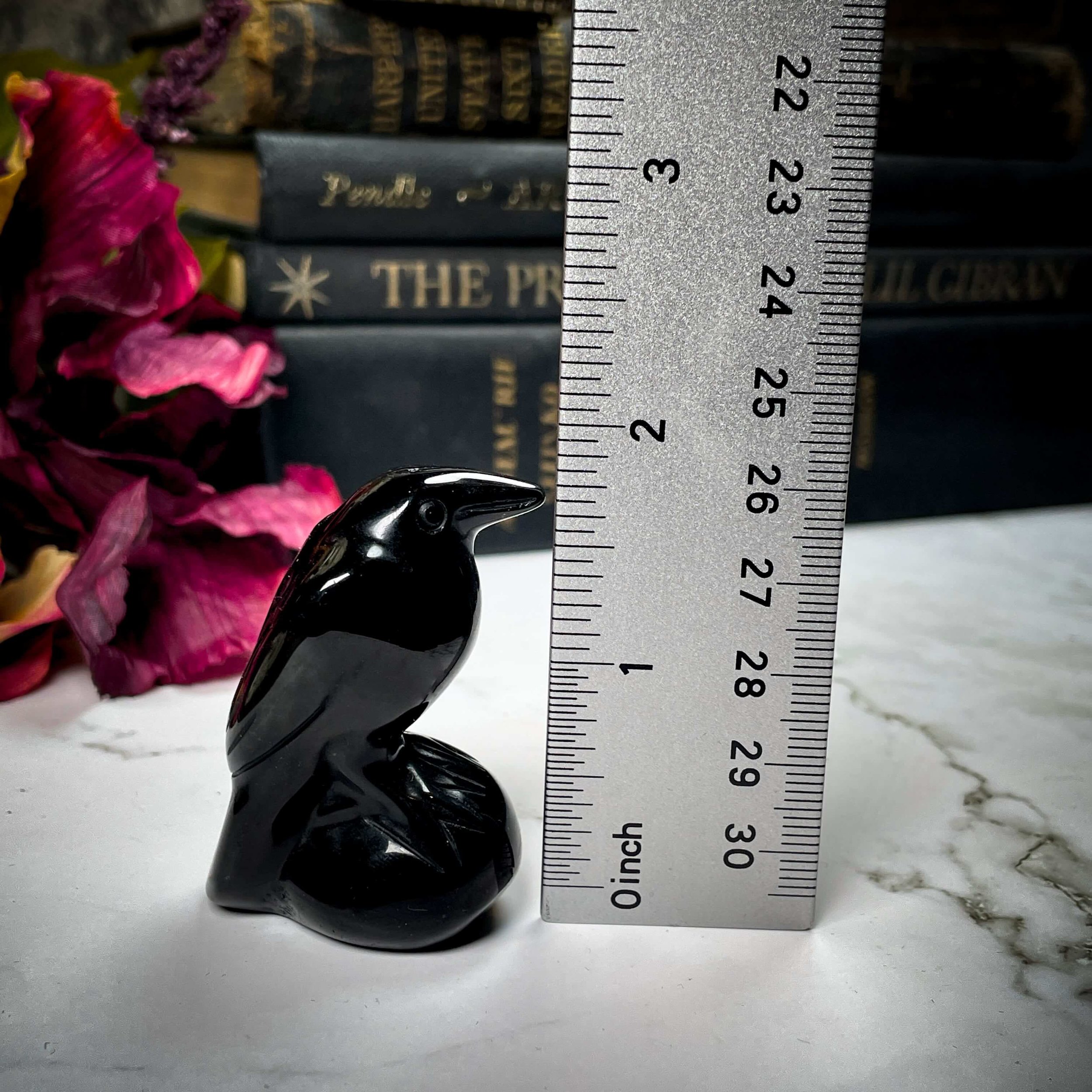 Back Onyx Raven 1(1).jpg