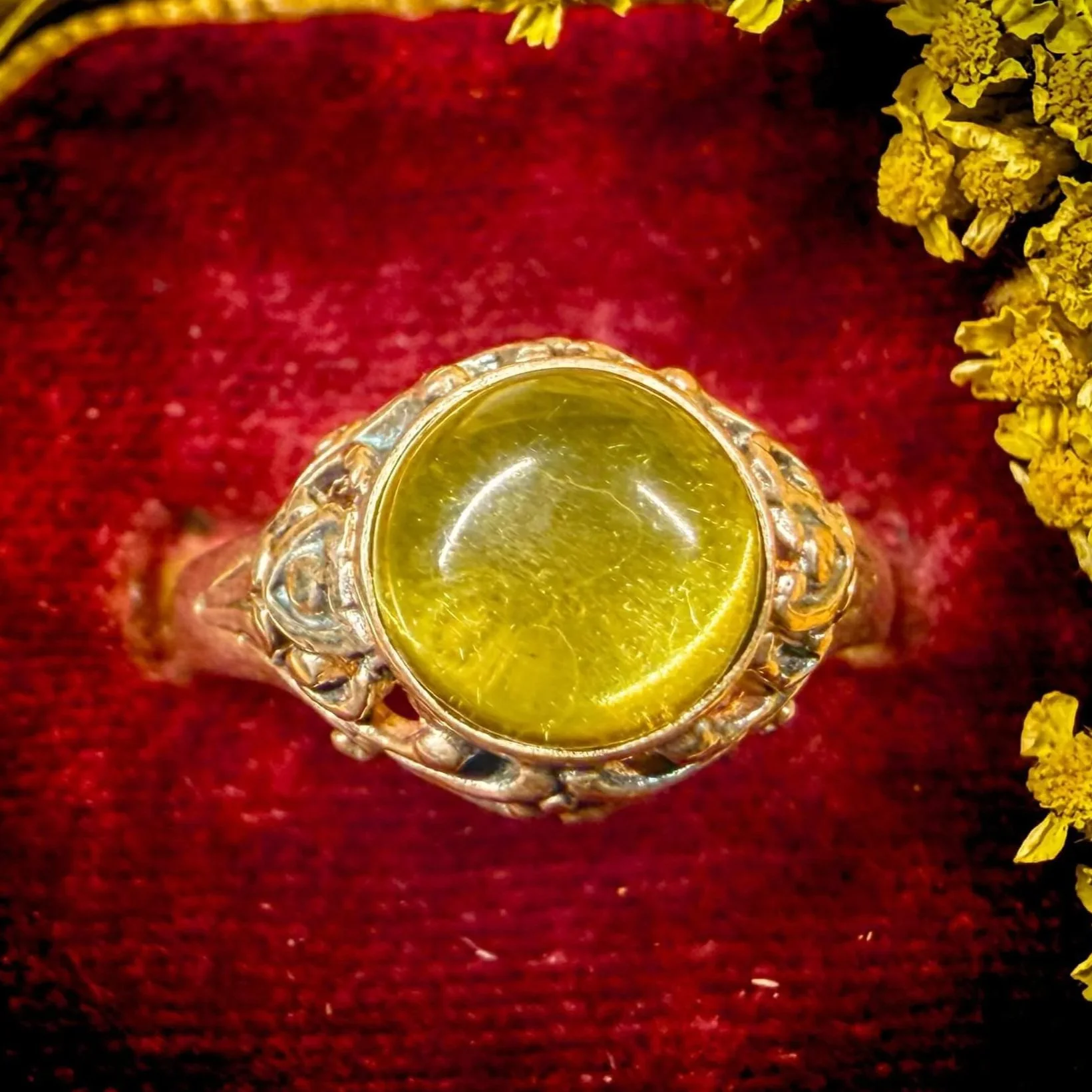 Green+Amber-7.jpg