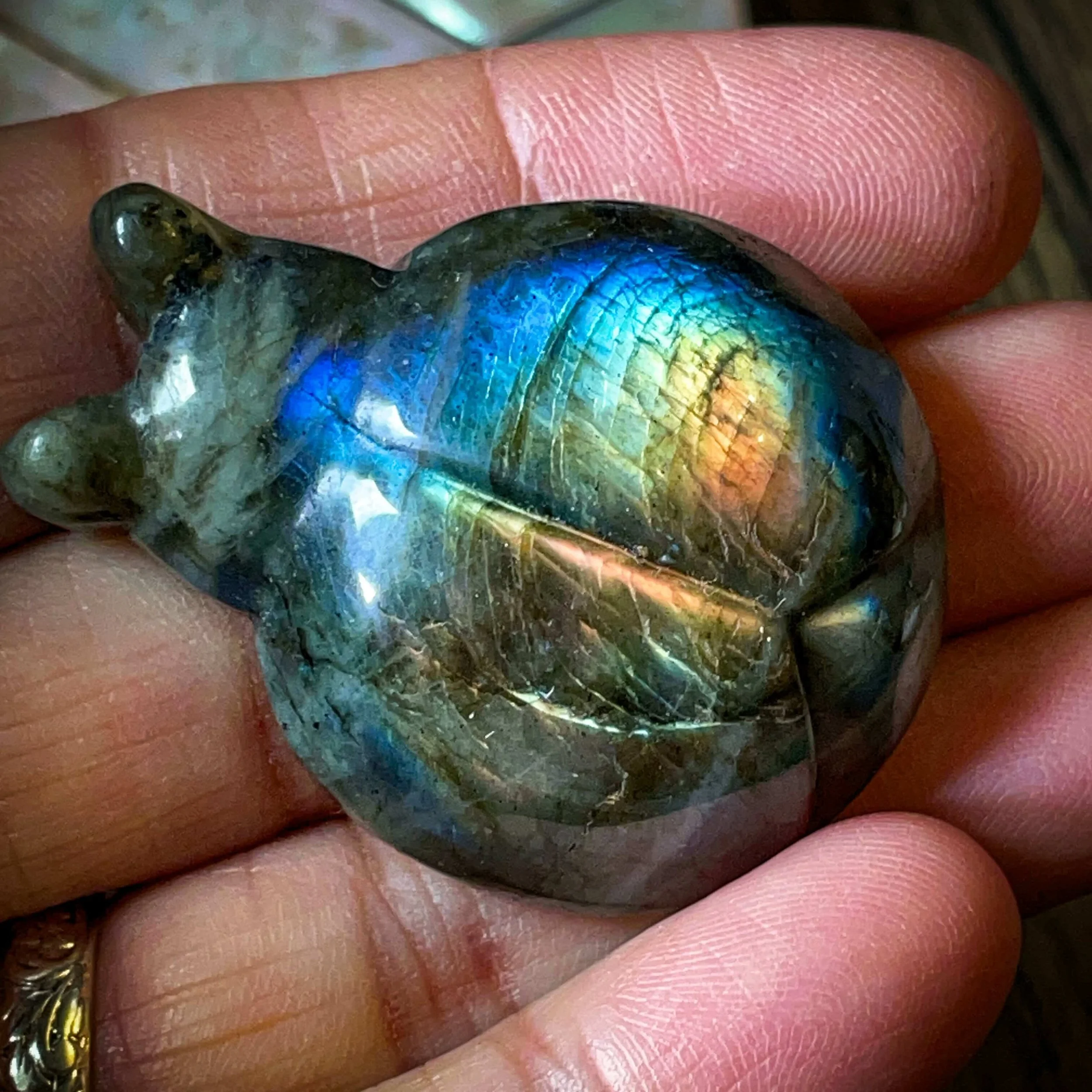 Labradorite Ladybug 12.jpg