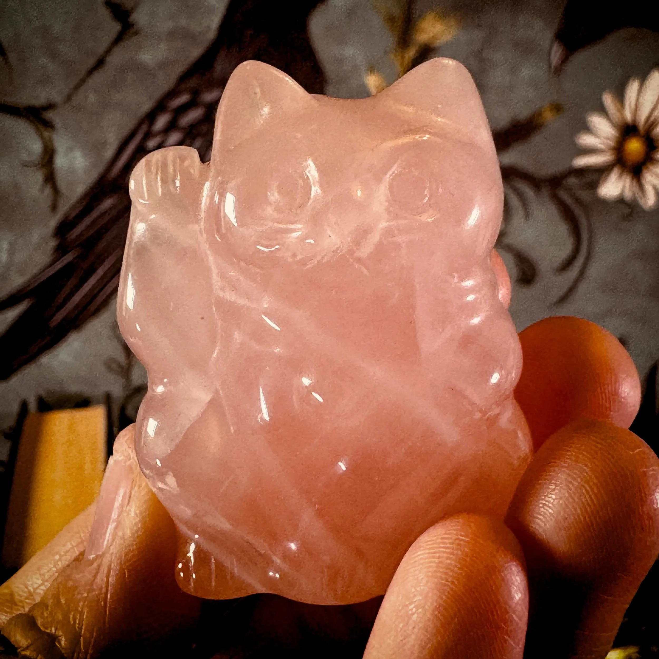 Protection -Grow Kit 7.jpg
