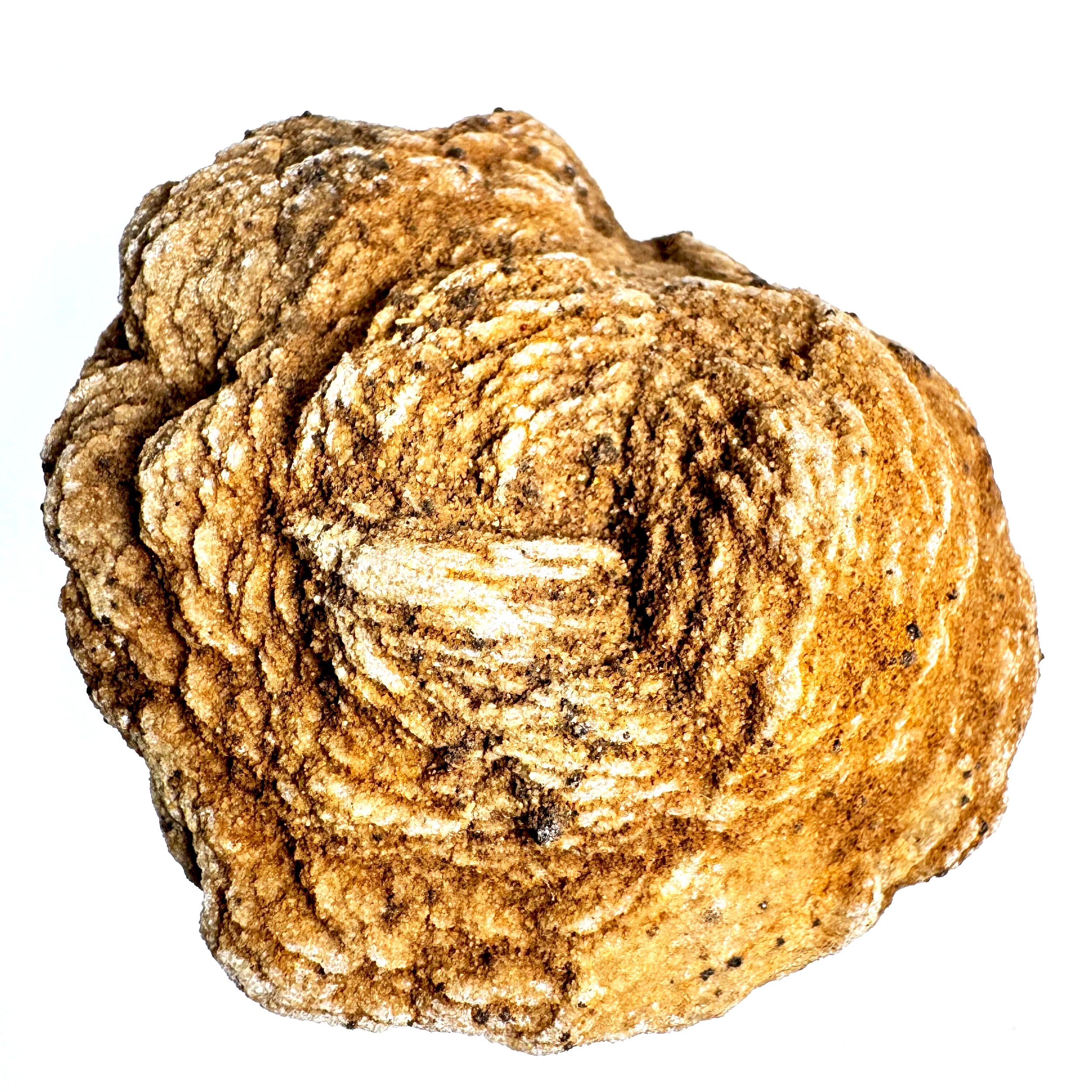 Barite+Rose+-+3.jpg