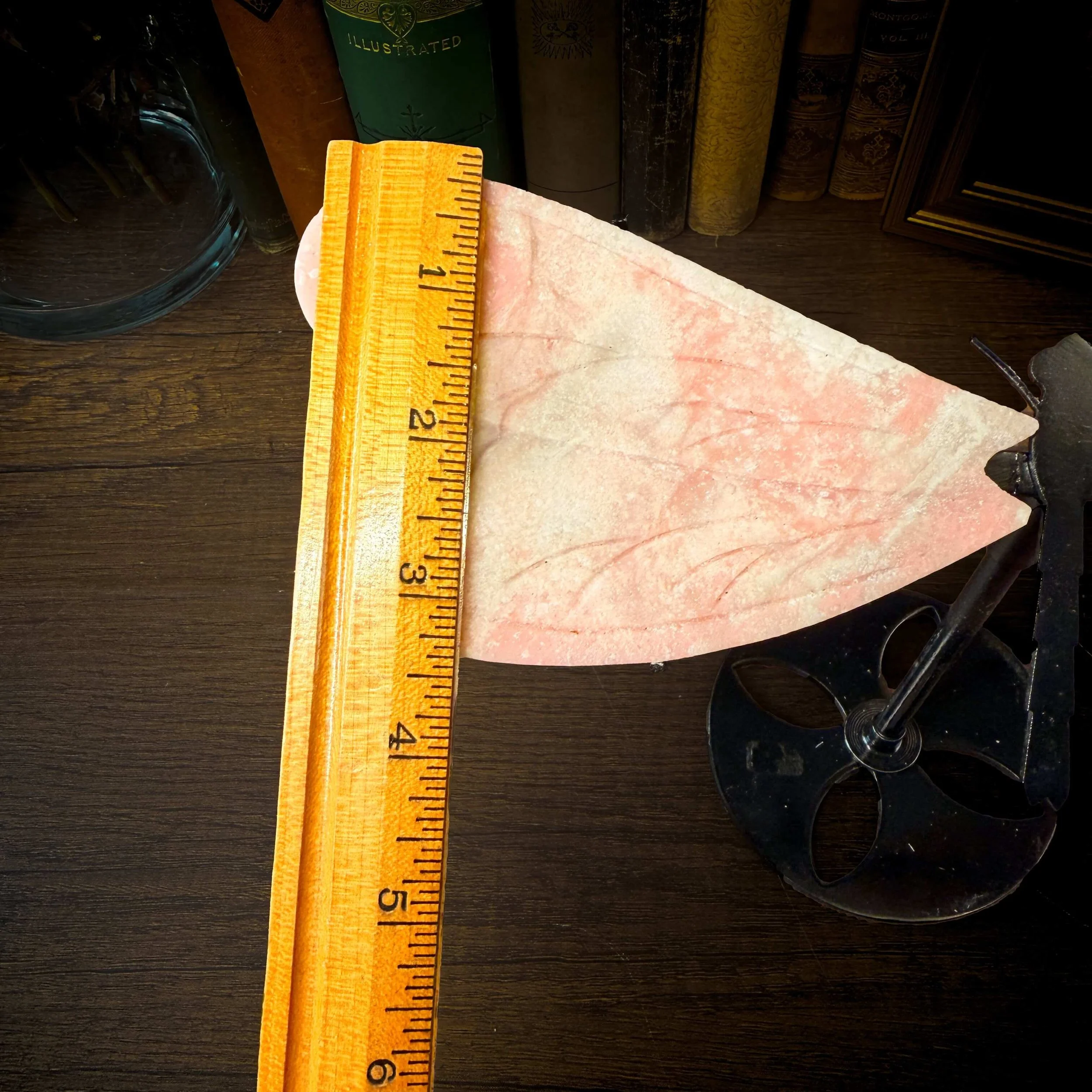 Large Pink Opal Dragonfly 9.jpg
