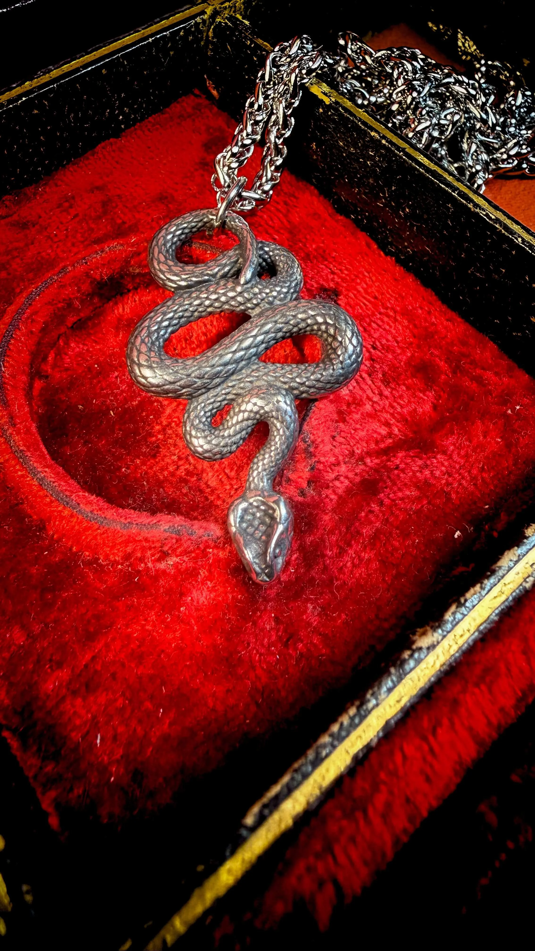 Coiled Serpent Necklace for Renewal