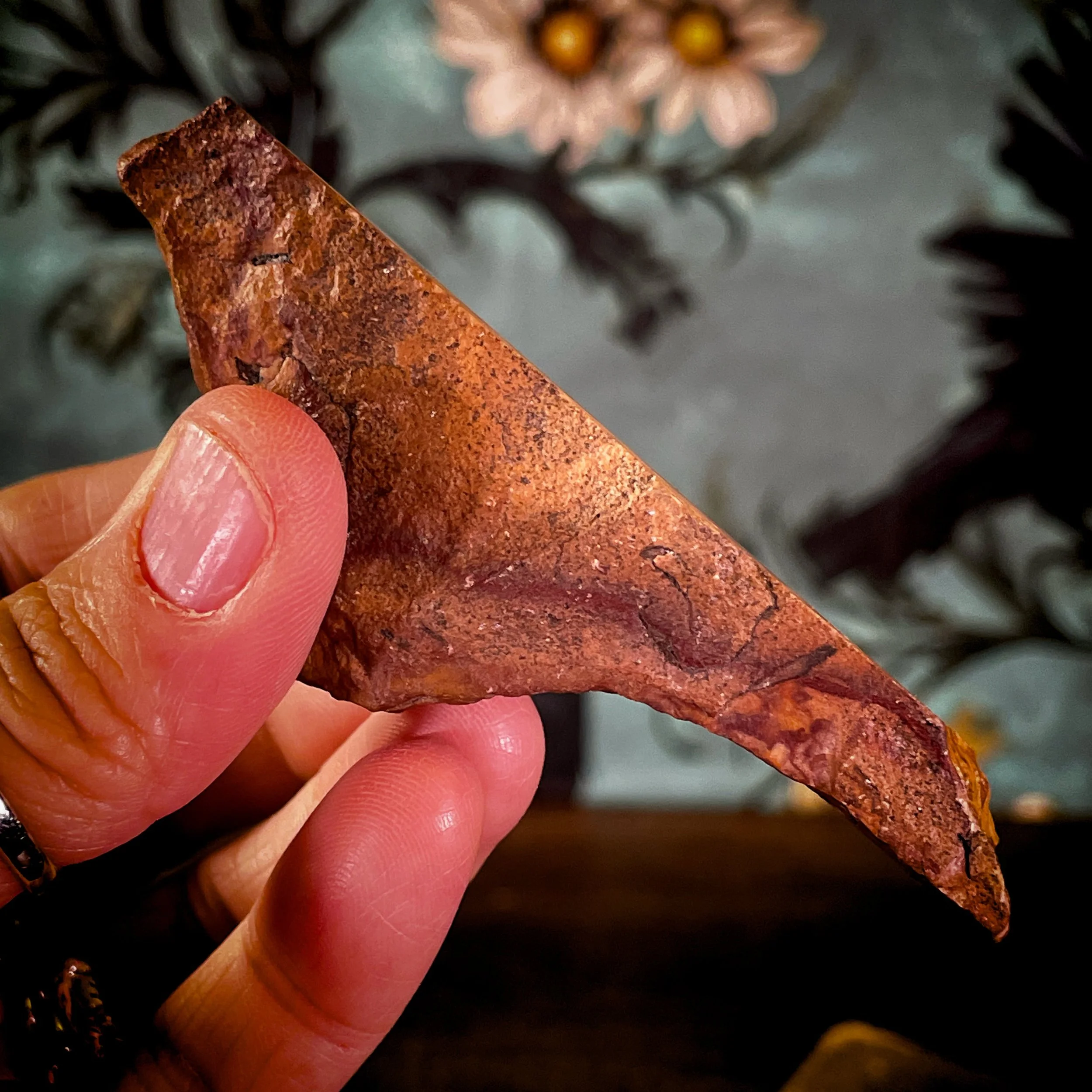 Owyhee Jasper freeform 1.jpg