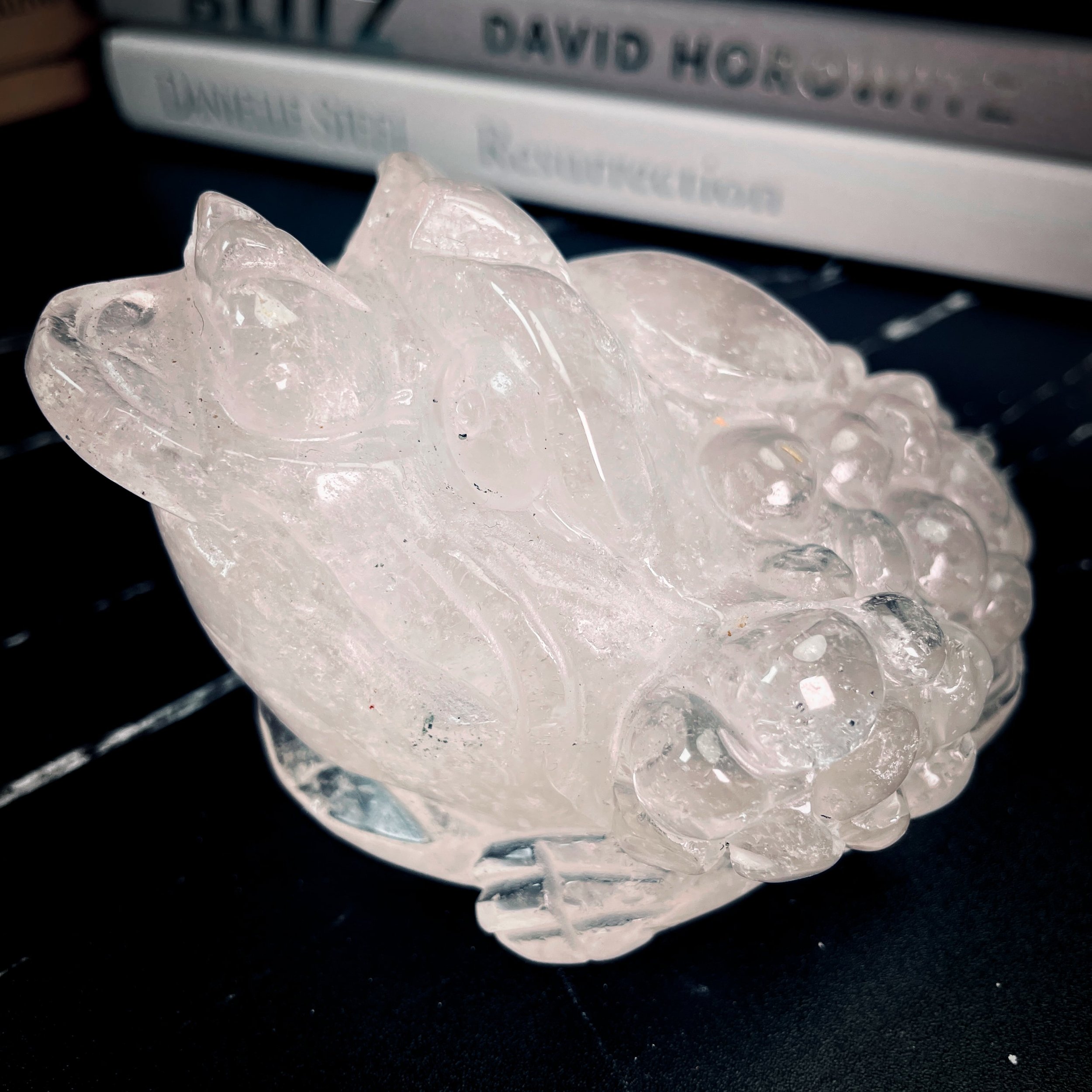 Clear Quartz Money Toad โ For Prosperity, Luck & Energy Amplification