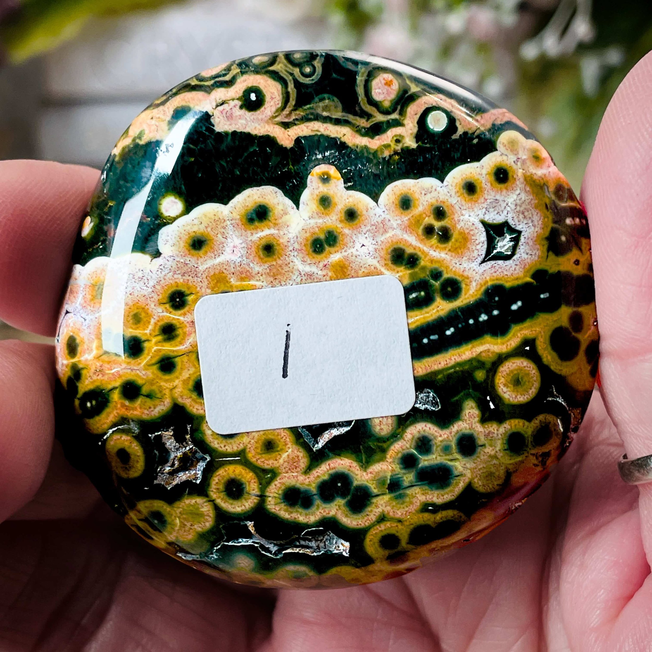 Ocean Jasper Palm Stone Final 1.jpg