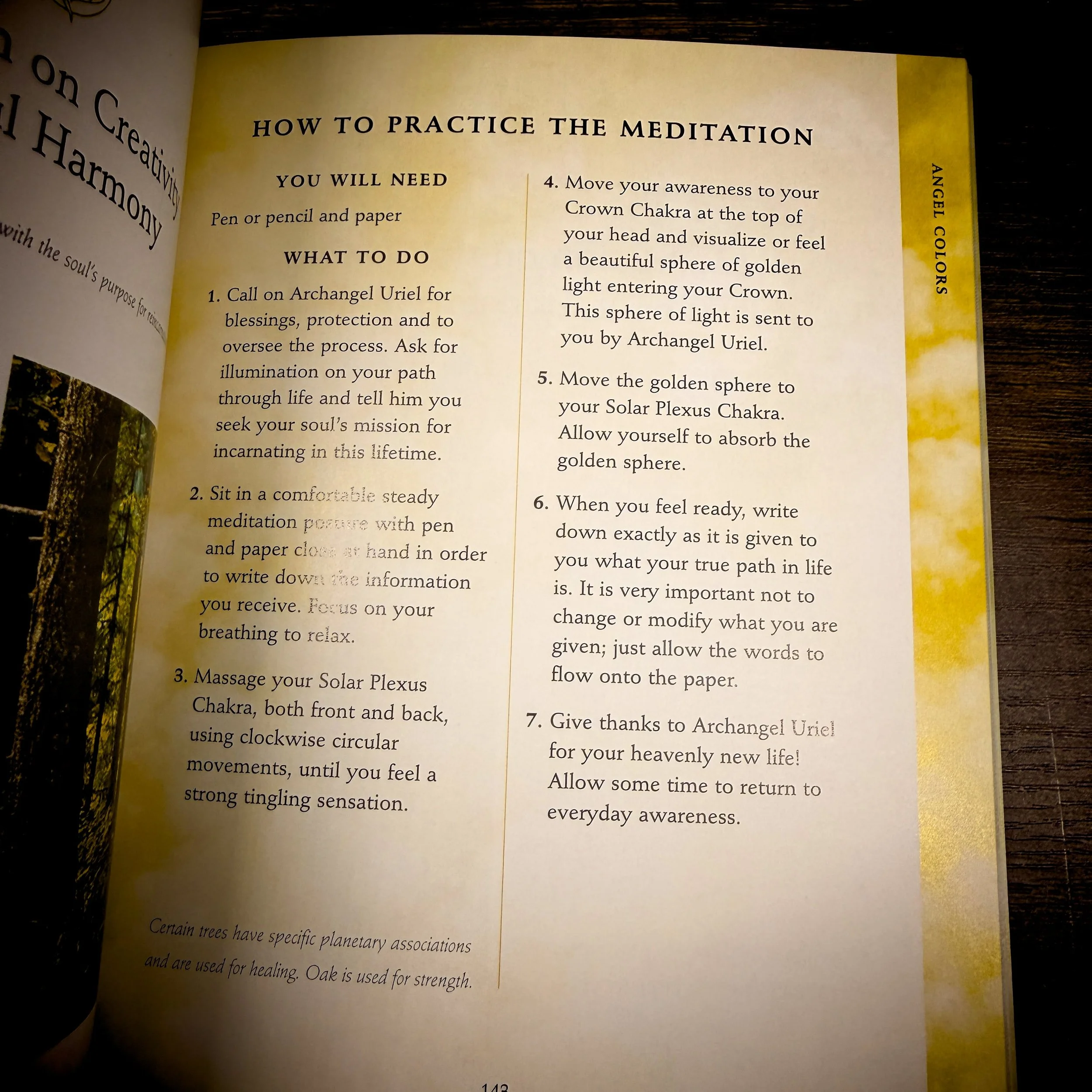 The Angel Bible (The definitive guide to Angel wisdom)11.jpg