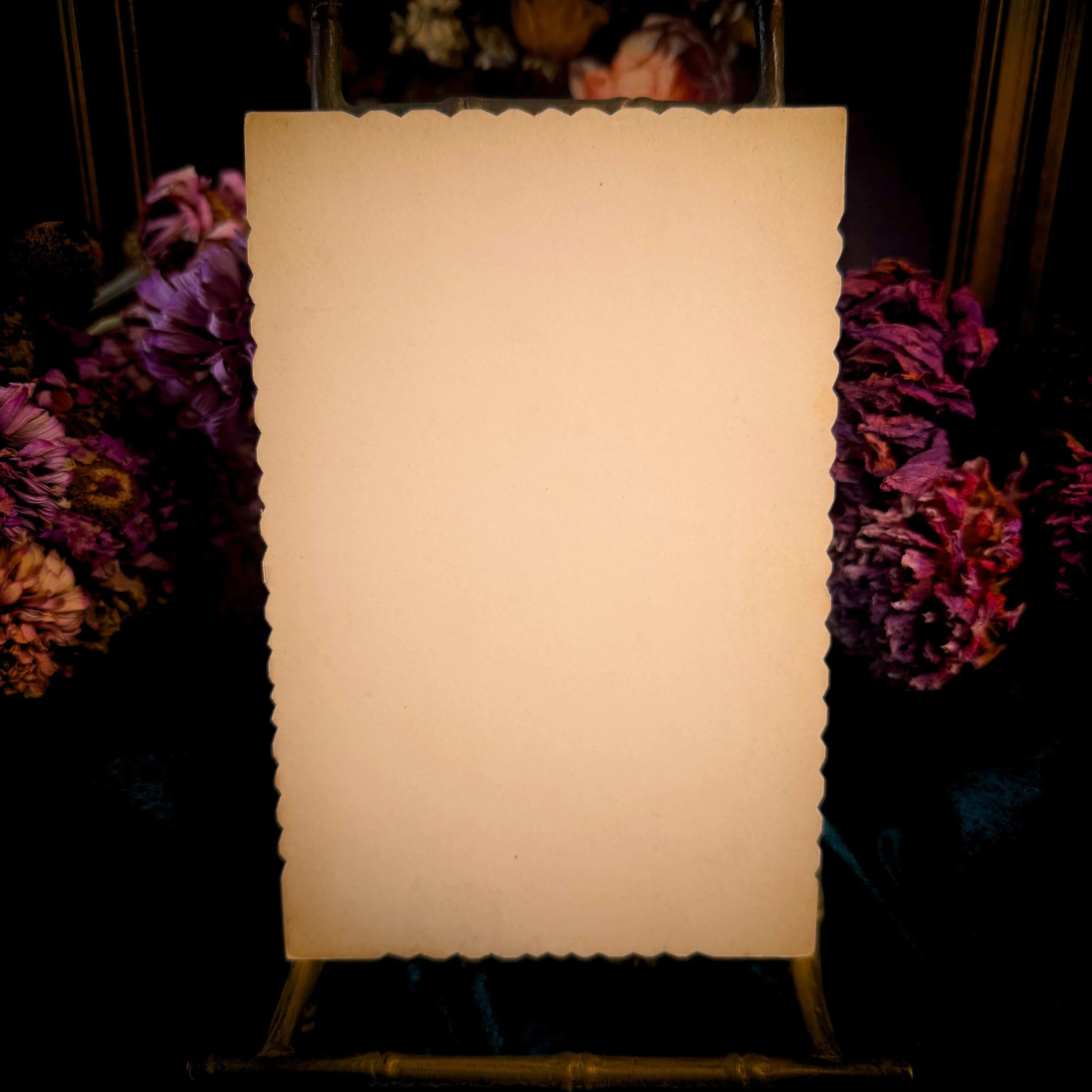 Cabinet Card Teacher Pet - 1.jpg