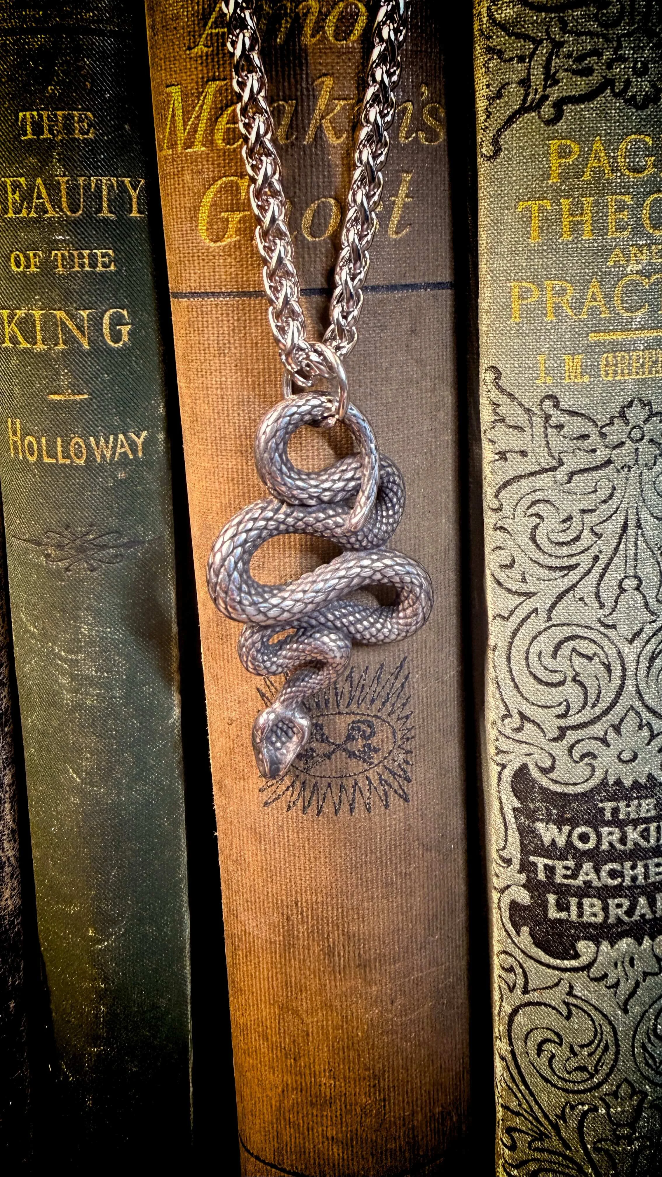 Silver Snake Necklace 19.jpg