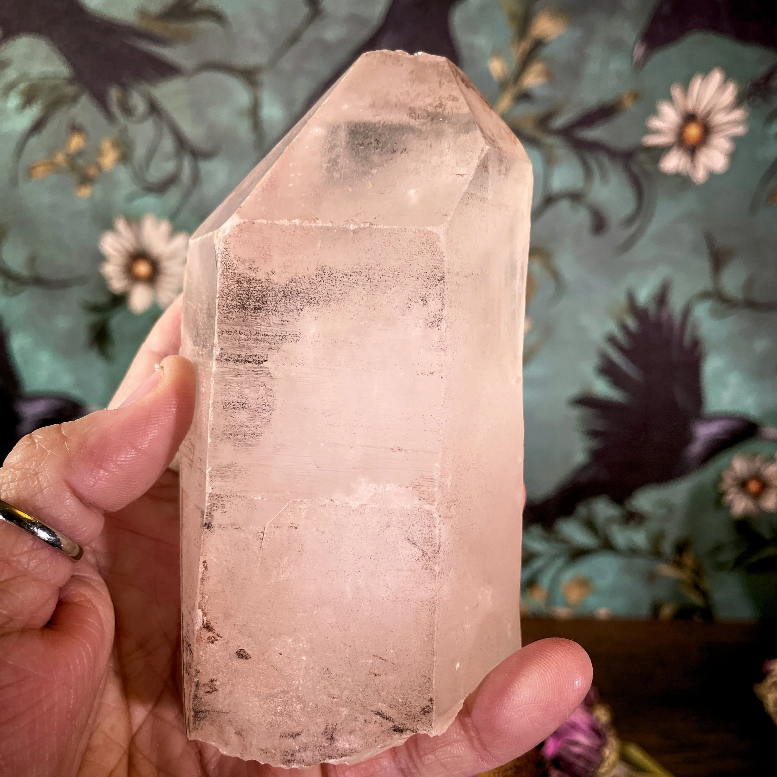 Lemurian Quartz Point 8.jpg