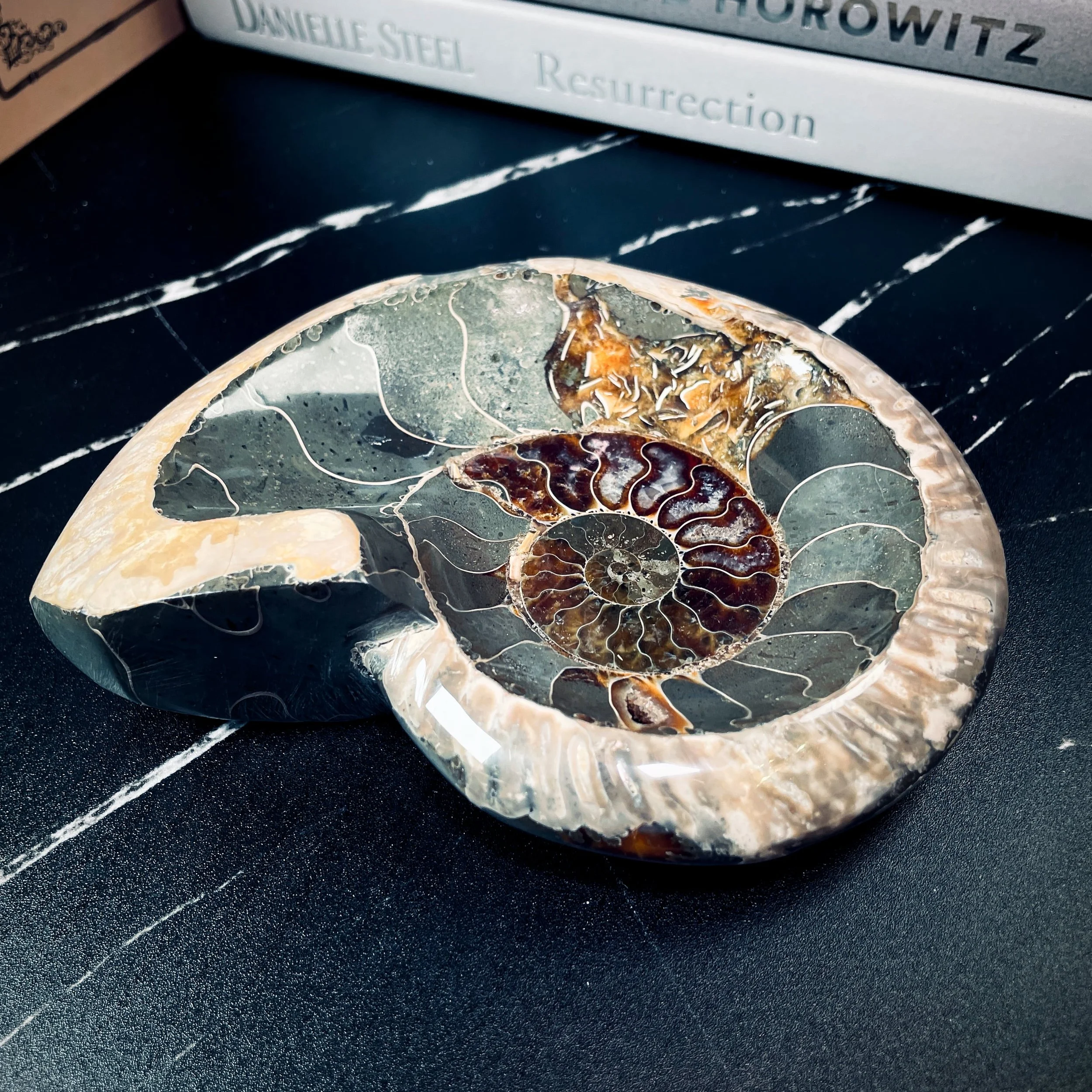 Ammonite Bowl 5.jpg
