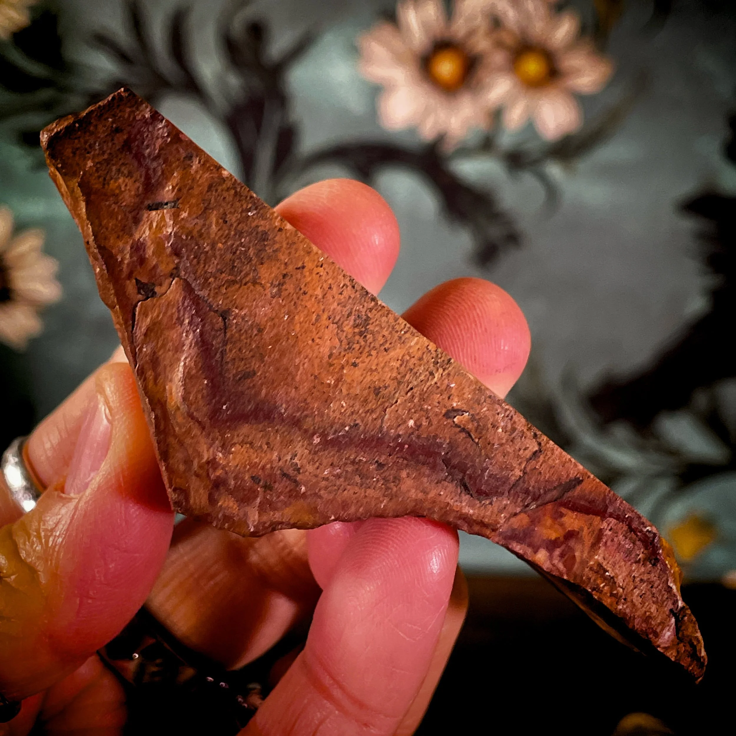 Owyhee Jasper freeform 4.jpg