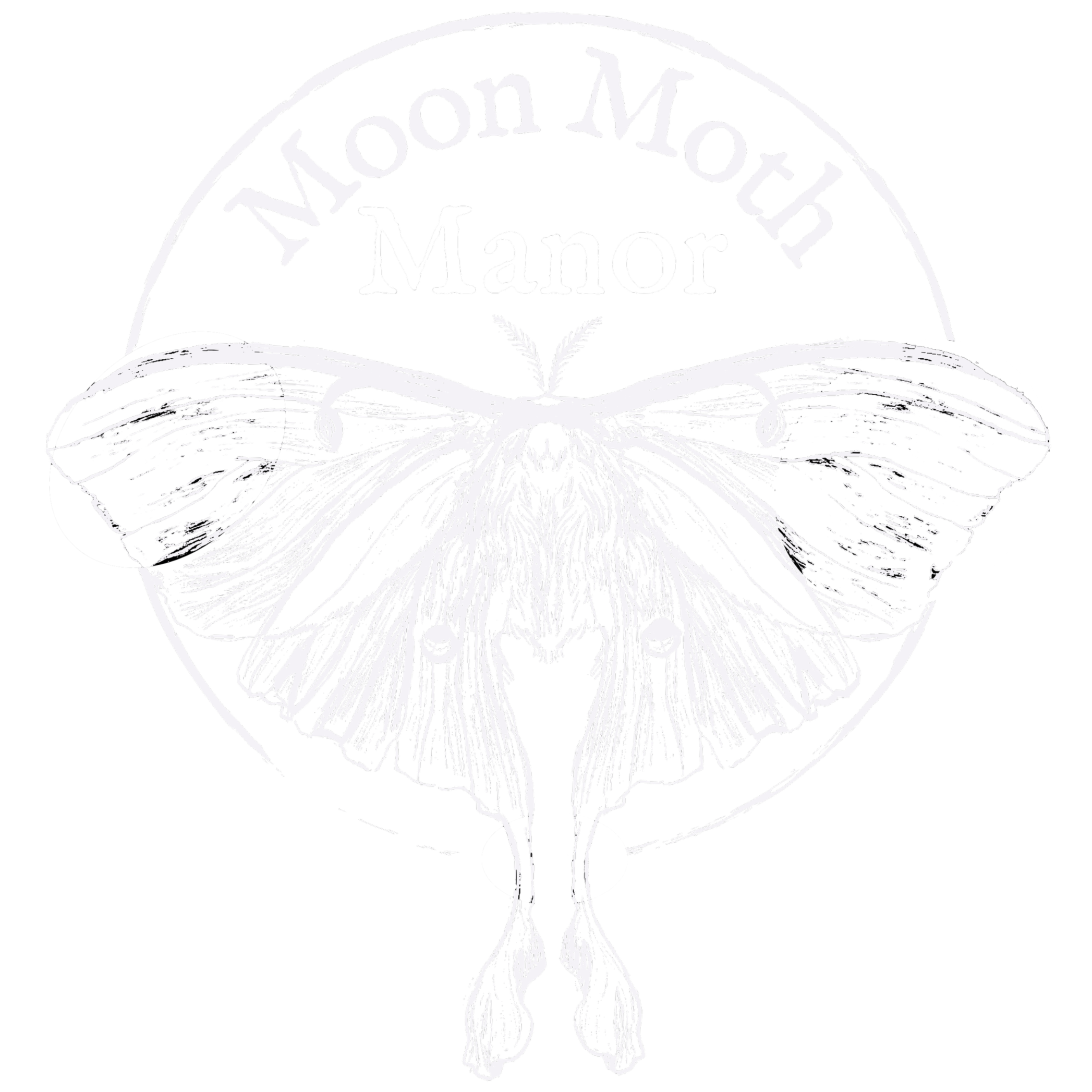 A detailed black and white illustration of a moth with its wings spread open, above an open book, with the words 'Main Touch' and 'Now Flow' written in a circular pattern around the moth.