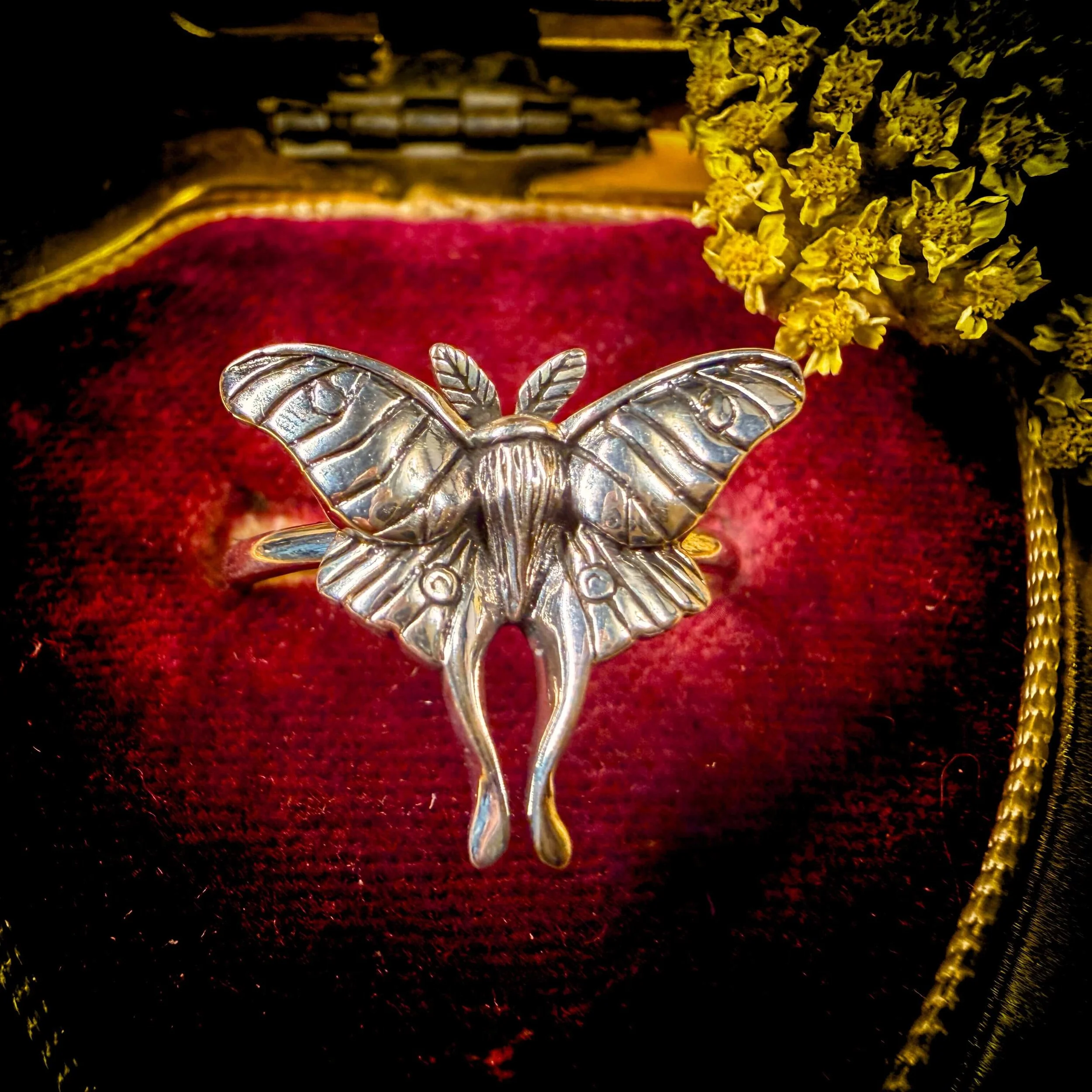Moon Moth SS .jpg