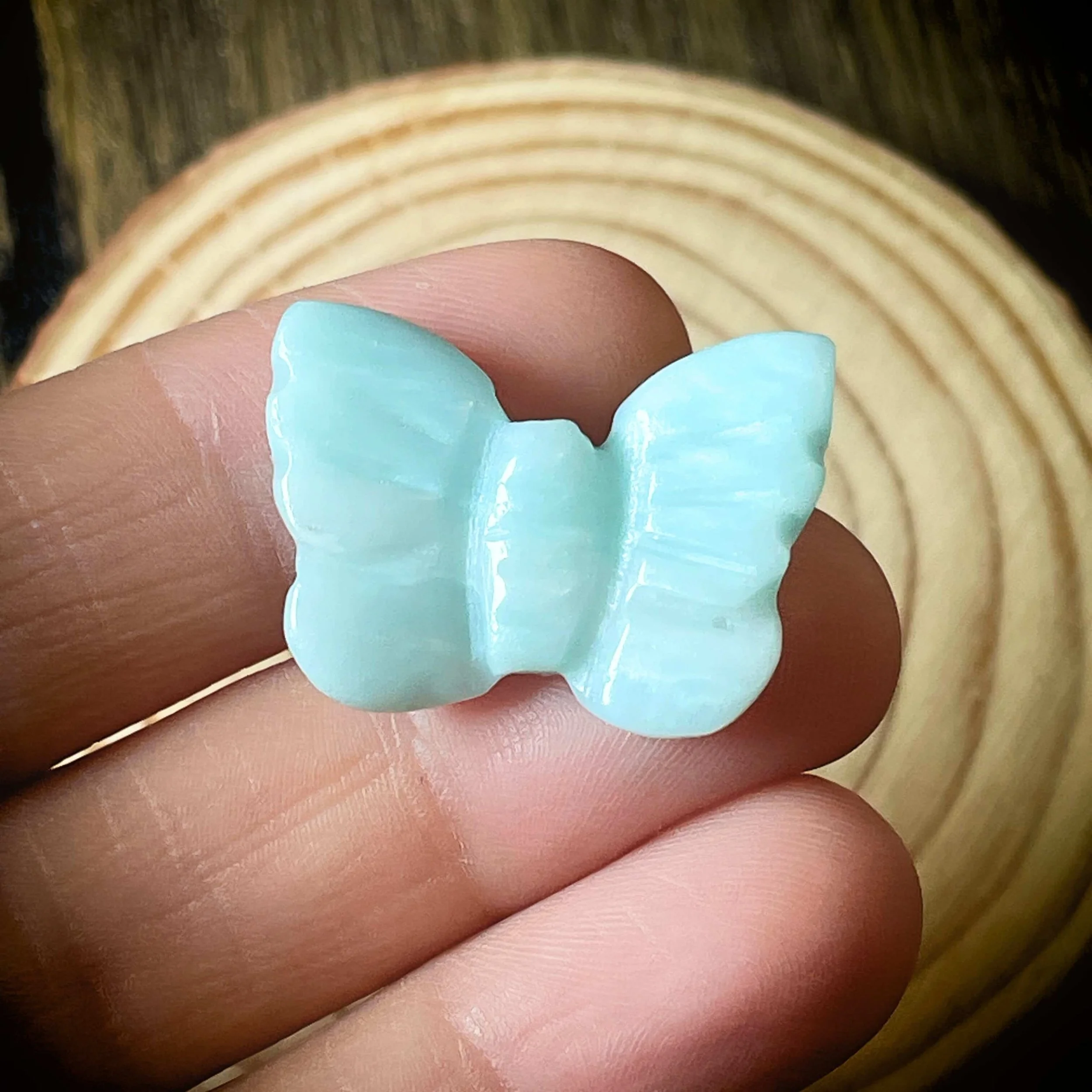 Mini Caribbean Calcite Butterfly – Transformation, Serenity & Higher Awareness