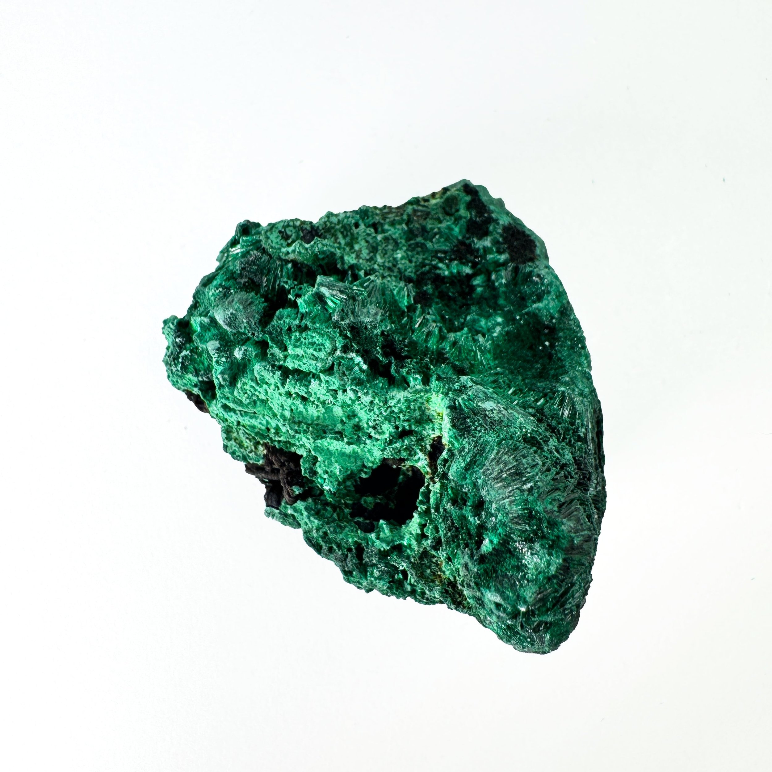 Velvet Malachite SM 3.jpg