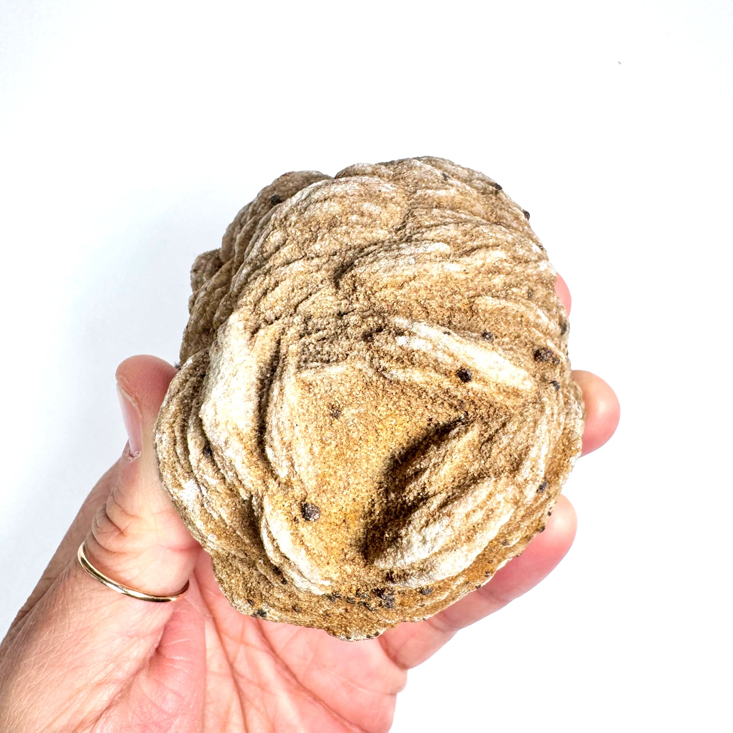 Barite+Rose+-+1.jpg