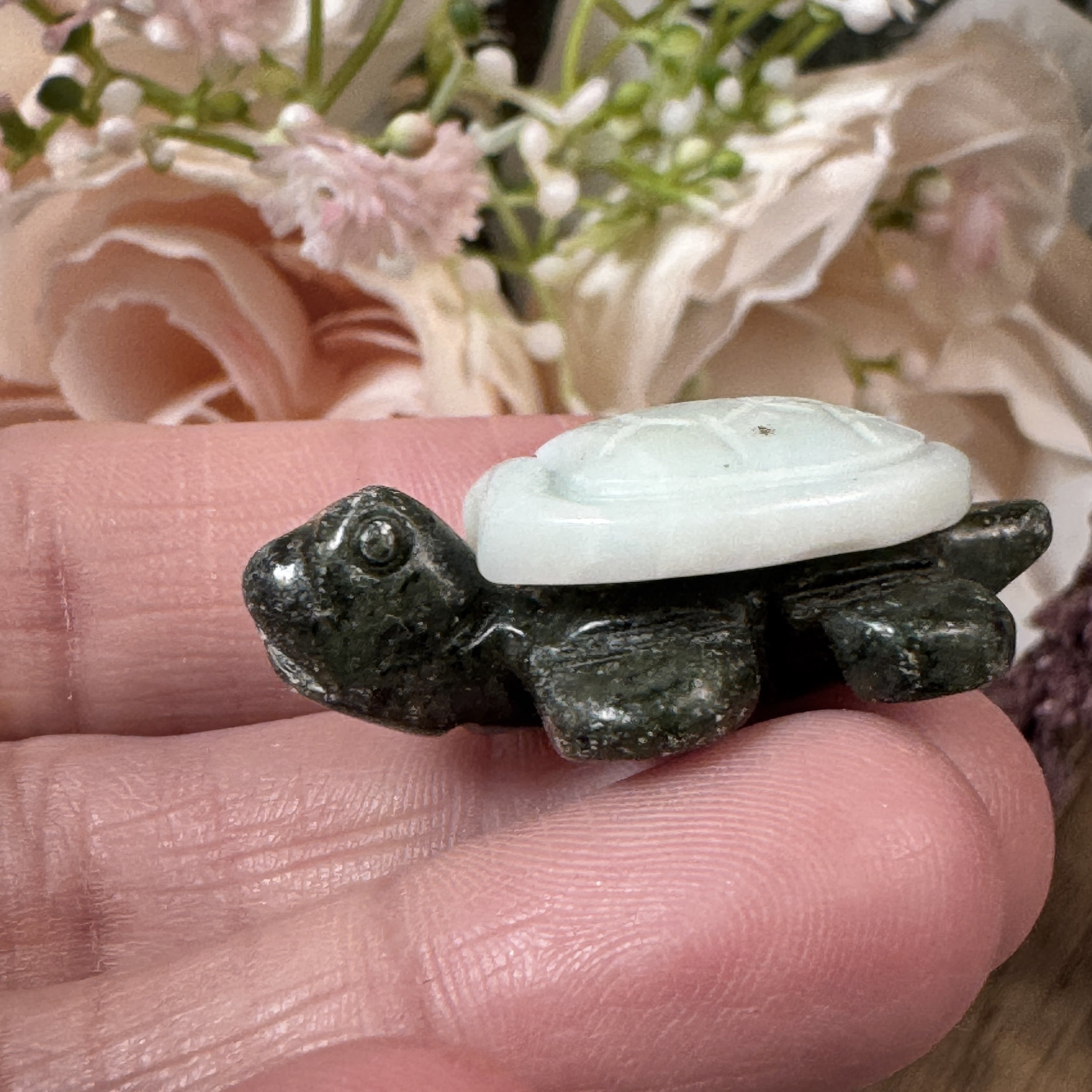Caribbean Calcite Turtle 1.jpg