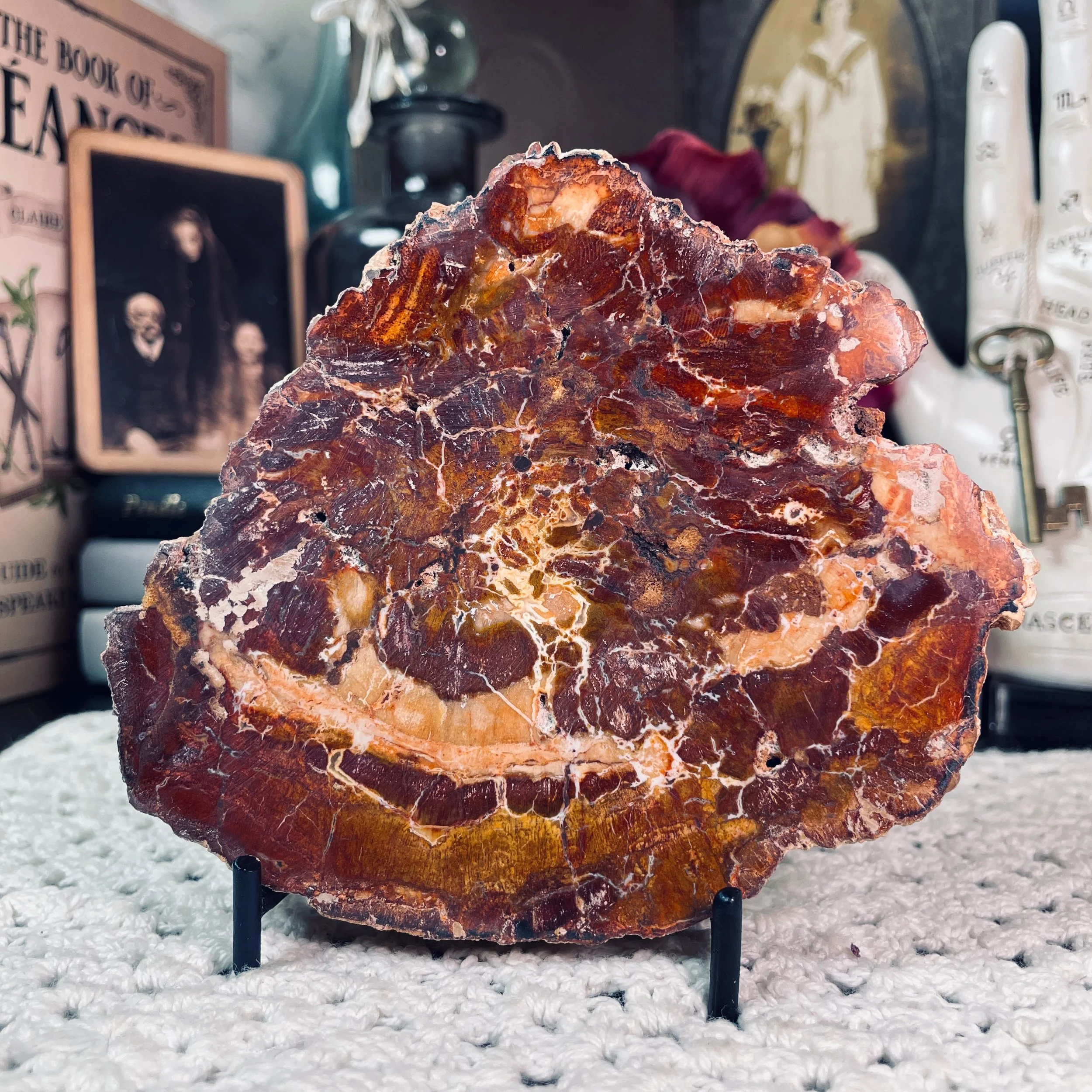 Petrified Wood Plate 3.jpg