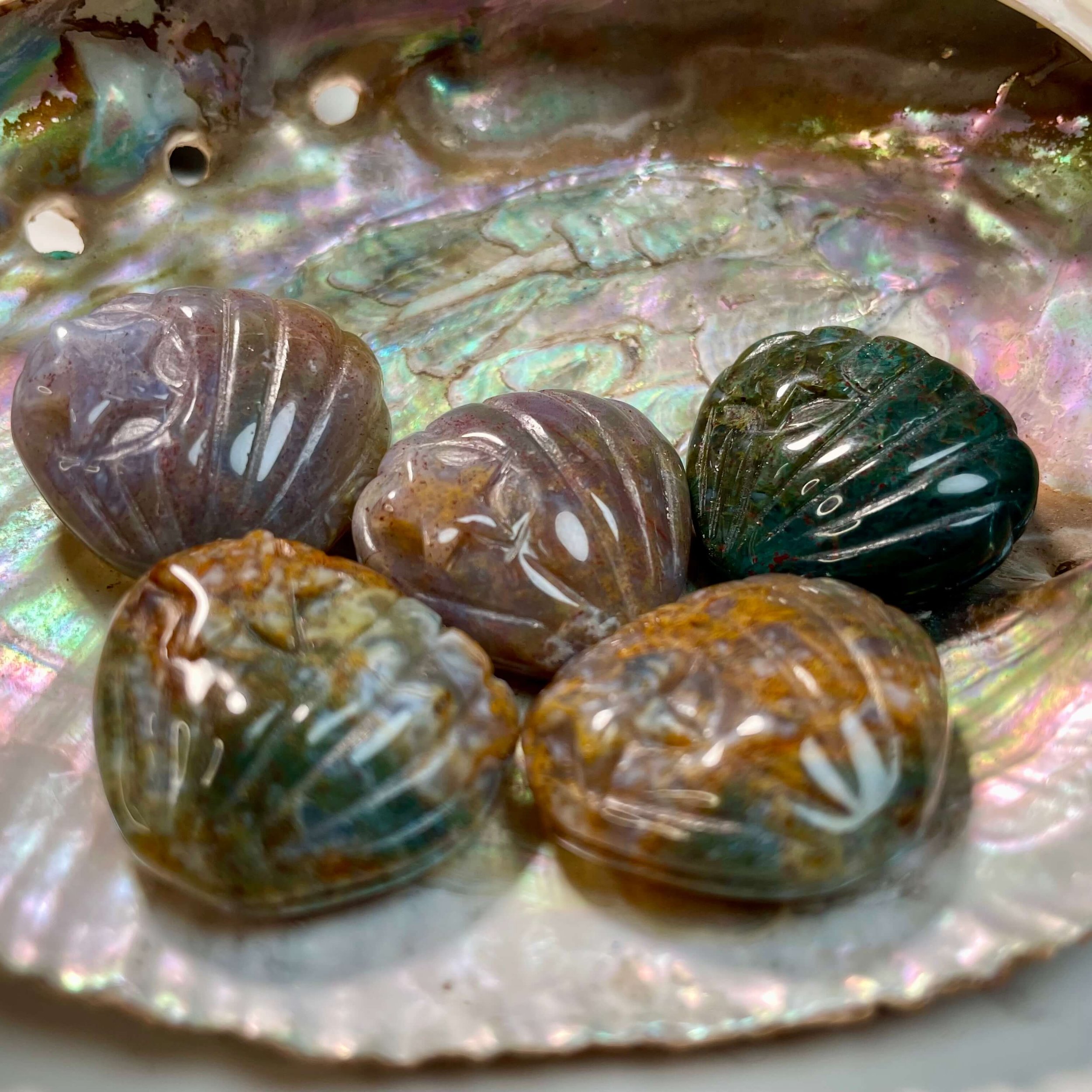 Ocean Jasper Shell 4(1).jpeg