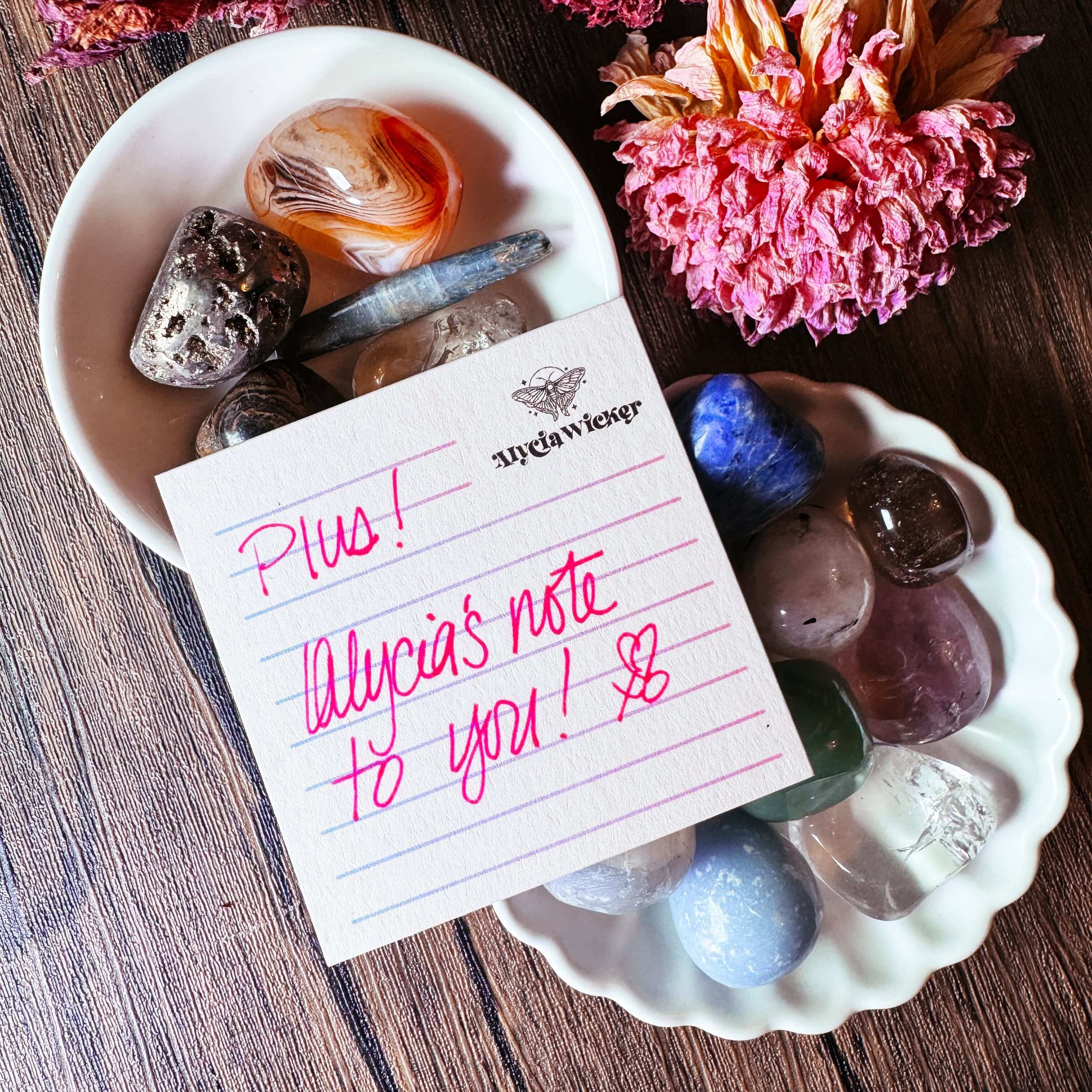 Mega Bundle + Note.jpg