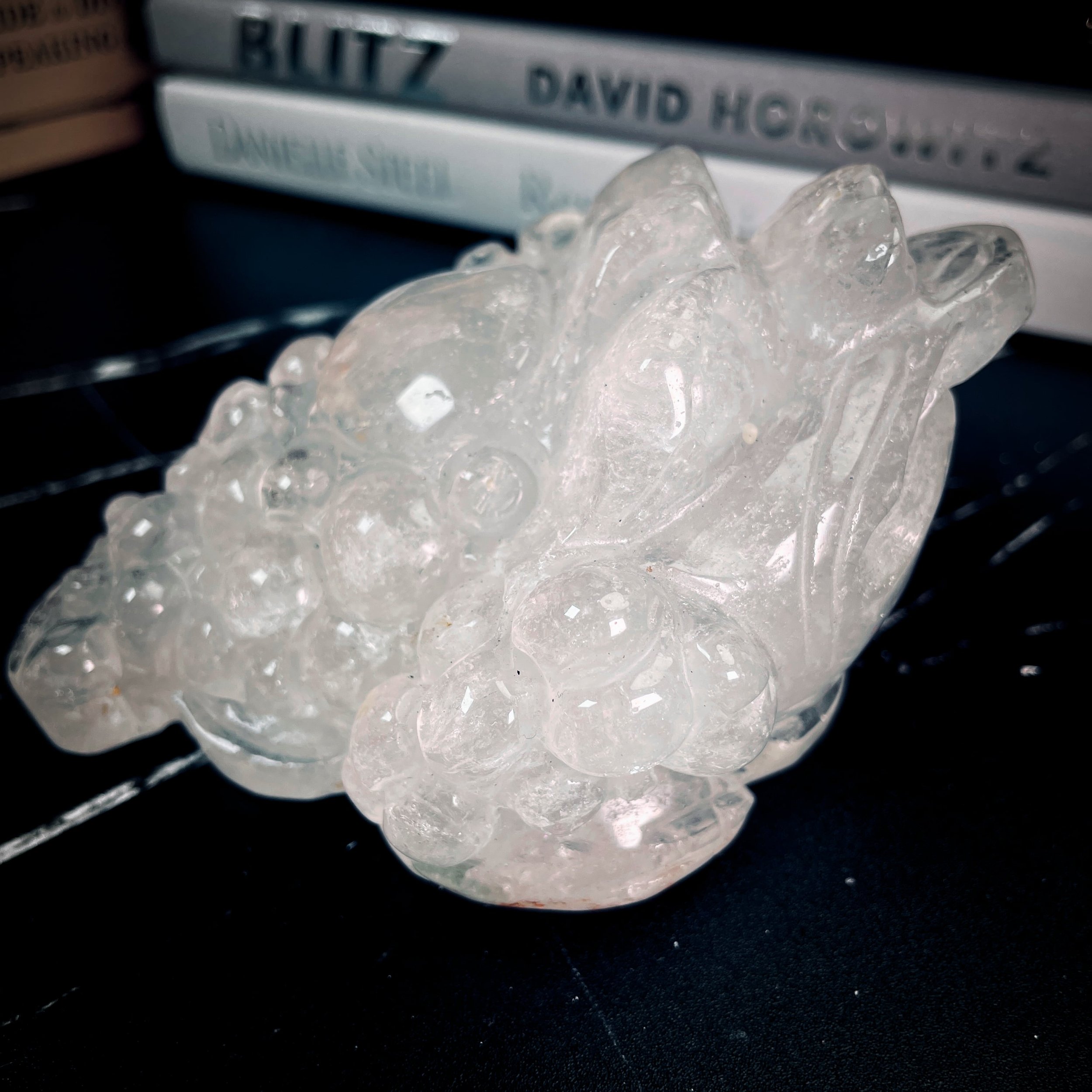 Clear Quartz Money Toad 7.jpg