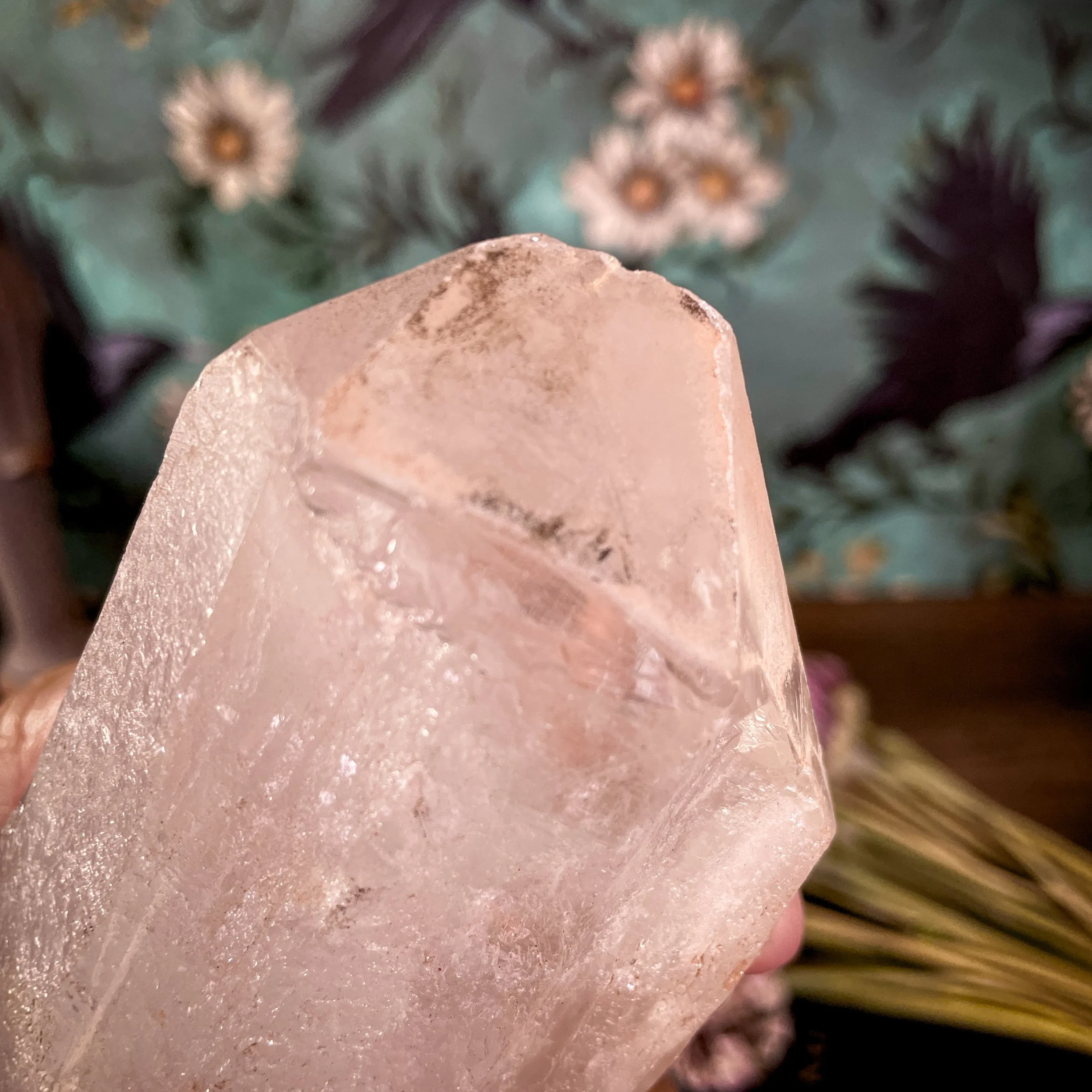 Lemurian Quartz Point 4.jpg