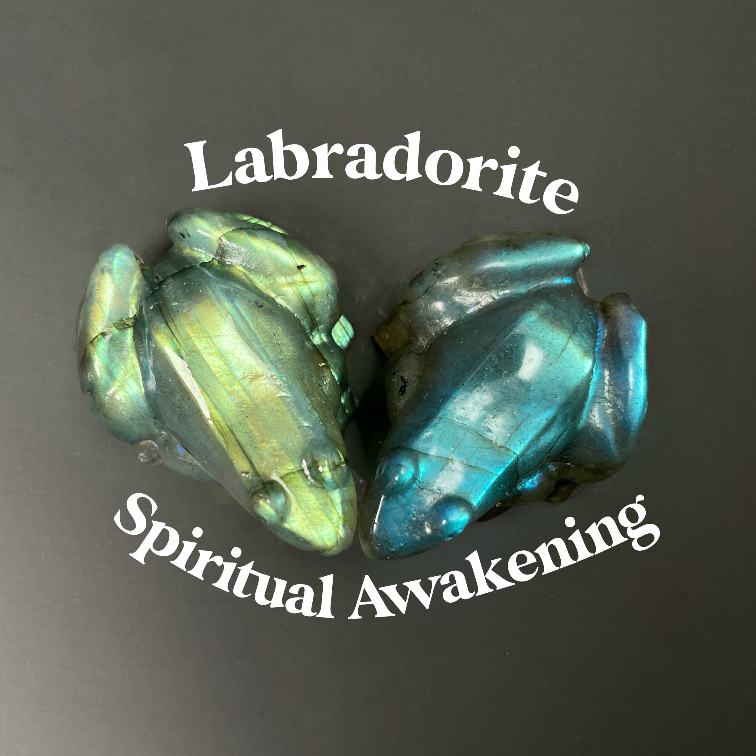 labradorite-frog.jpg