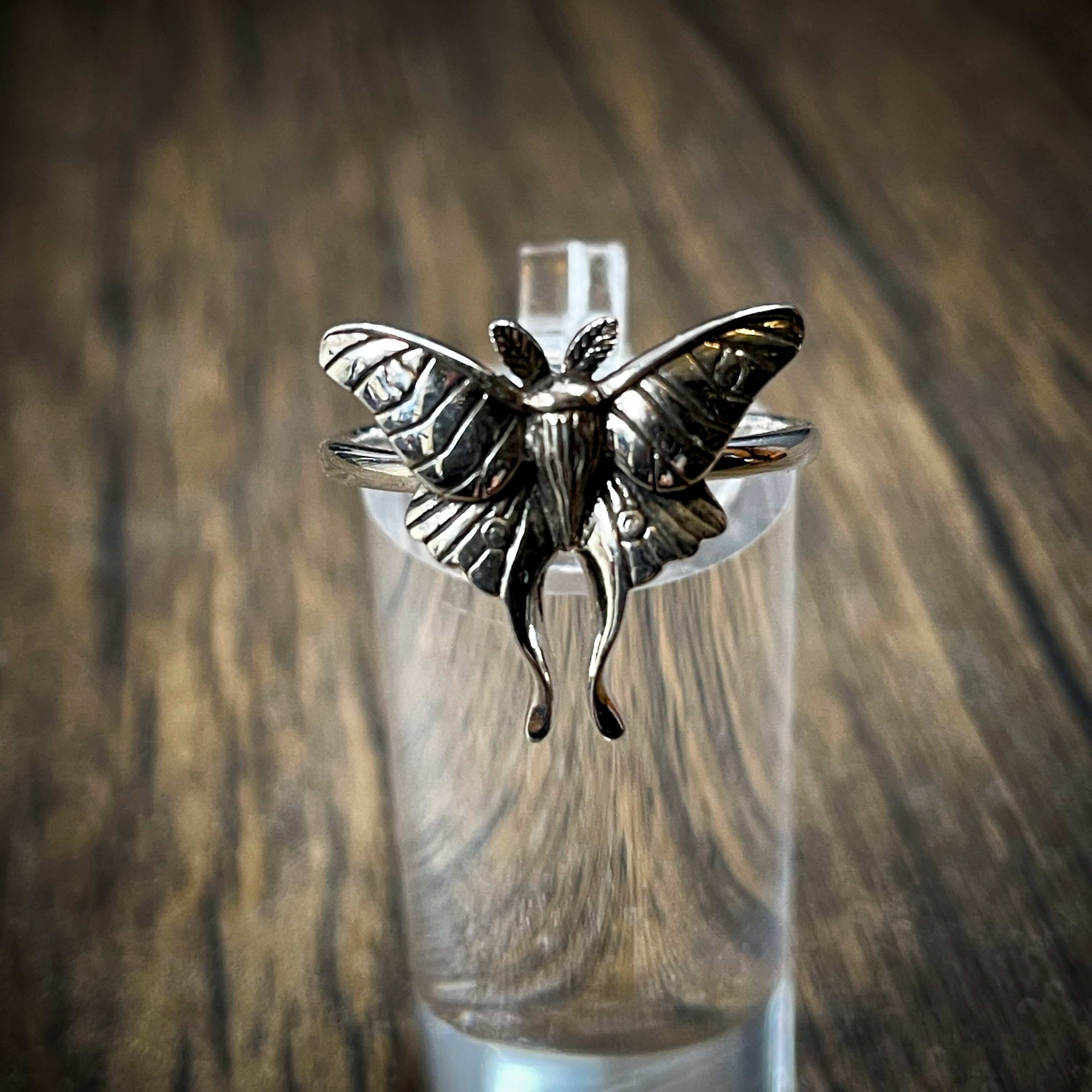 Moon Moth Ring 3(1).jpg