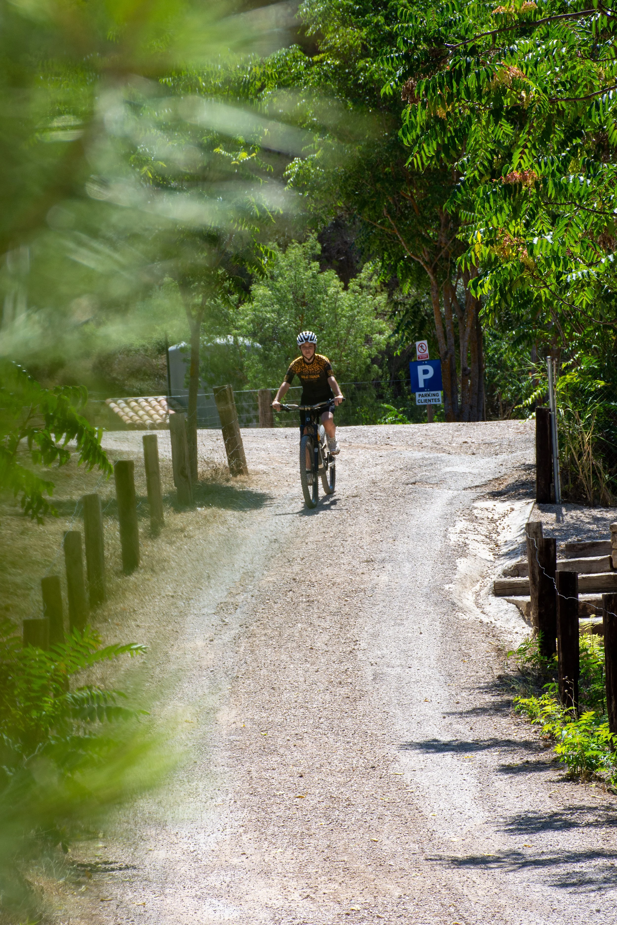 paradadelcompte wild6.JPG