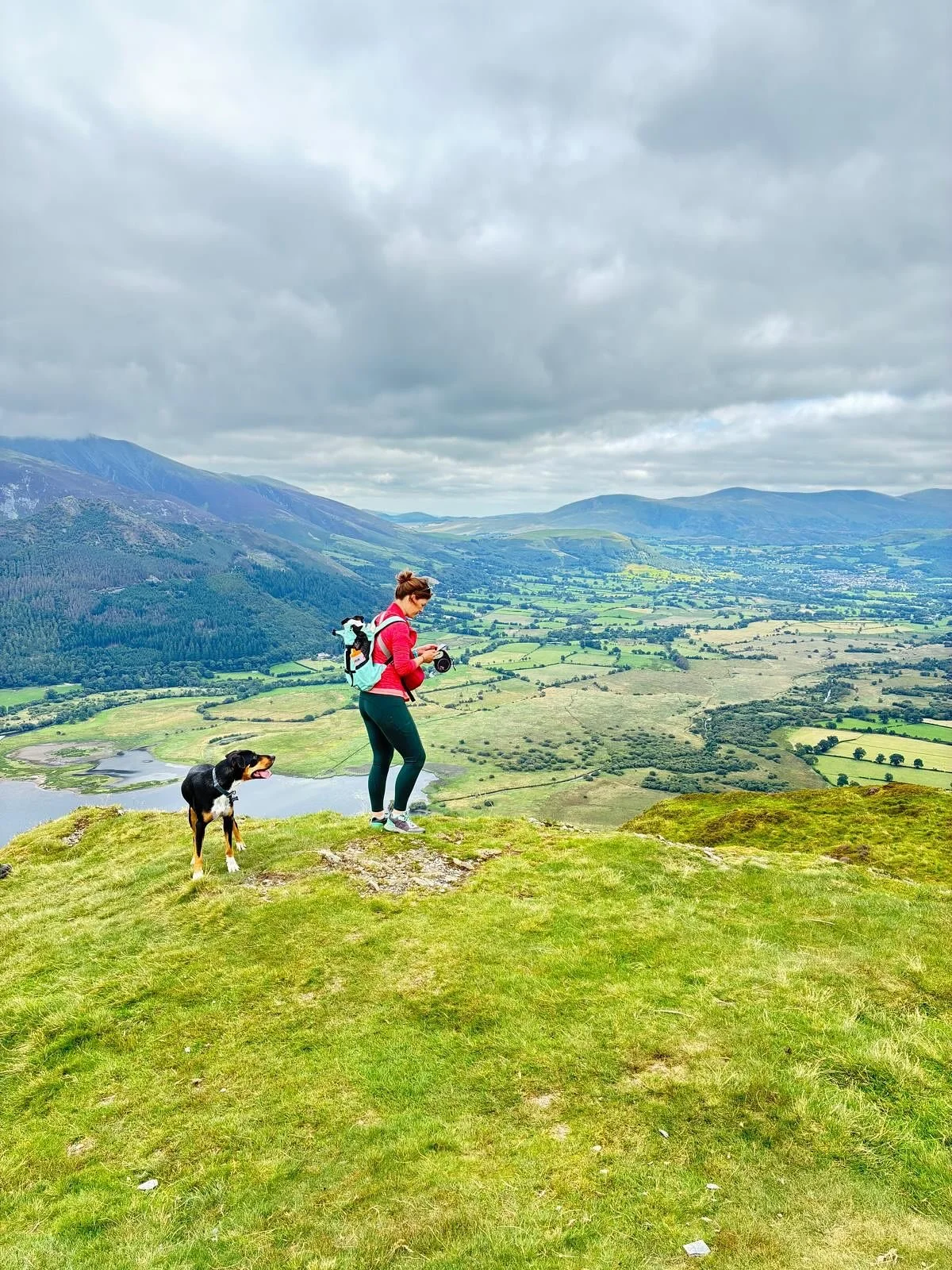 Missing these views!
For two weeks of August I was working from the Lake District on a house / dog sit with my ole doggo, Poppy. 

Working holiday&hellip; highly recommend 🤌

#lakedistrictuk #lakedistrictwalks #cumbria #workfromanywhere #wainwrightb