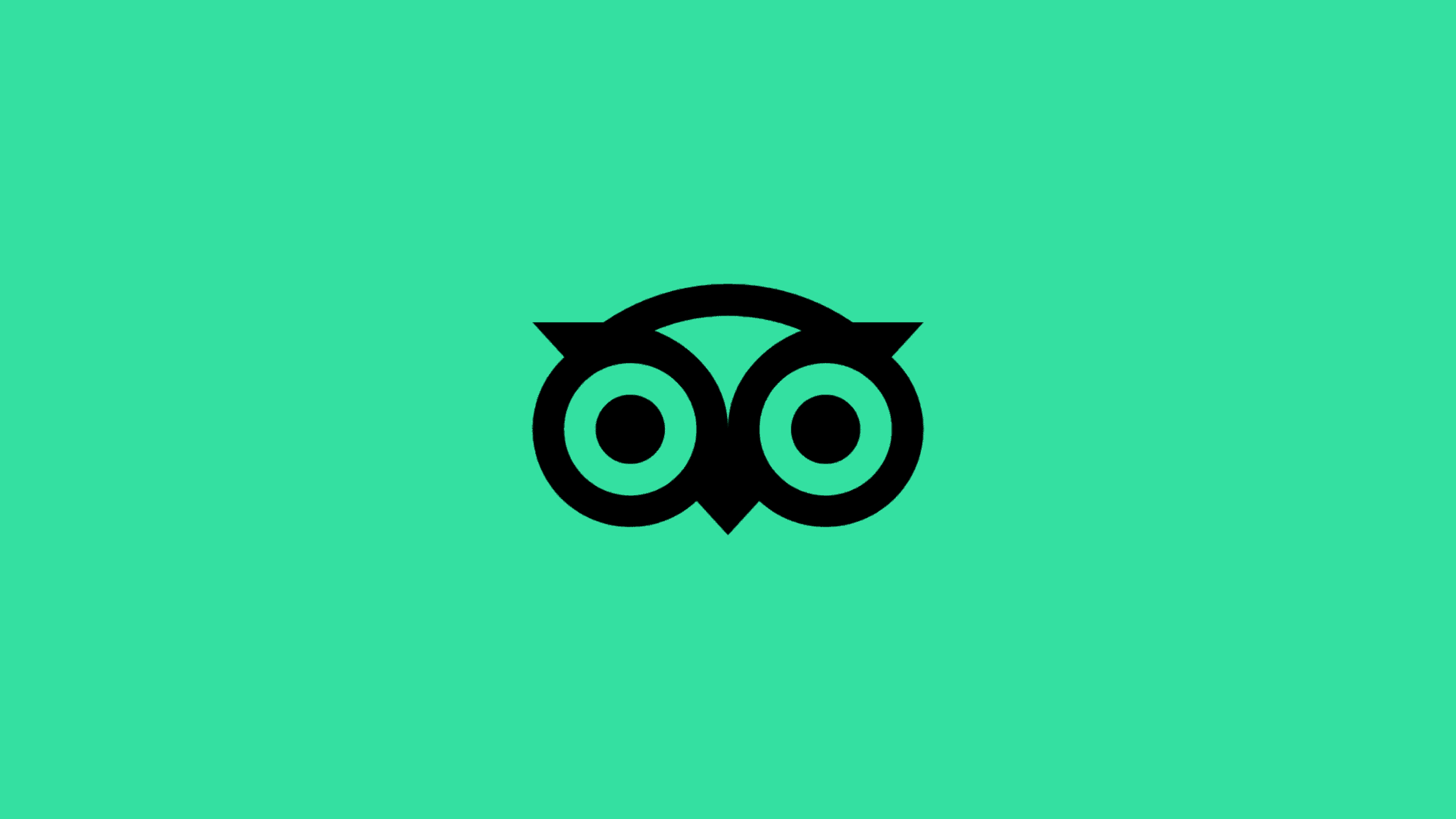 Tripadvisor Rebrand
