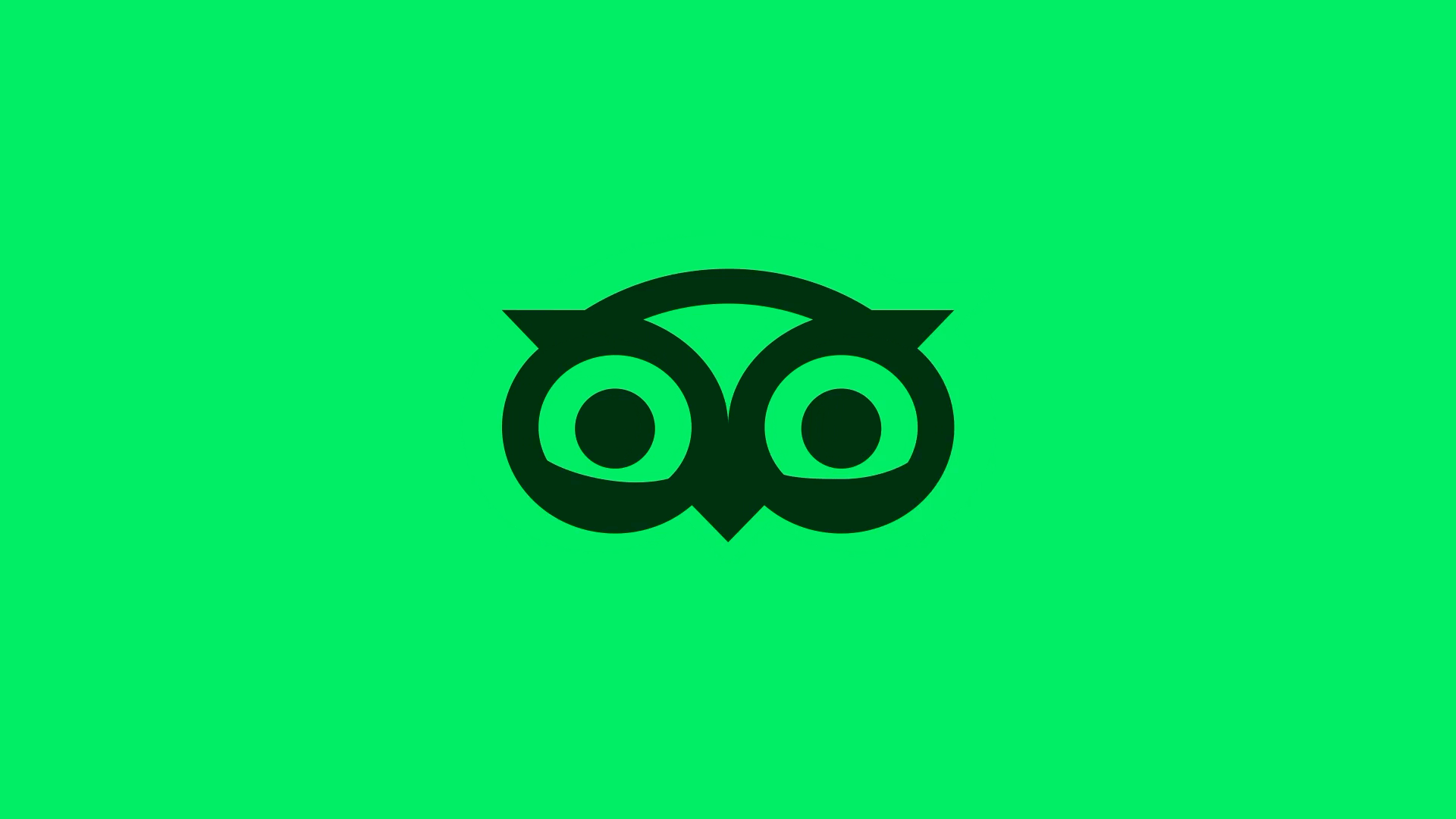 Tripadvisor Brand Refresh