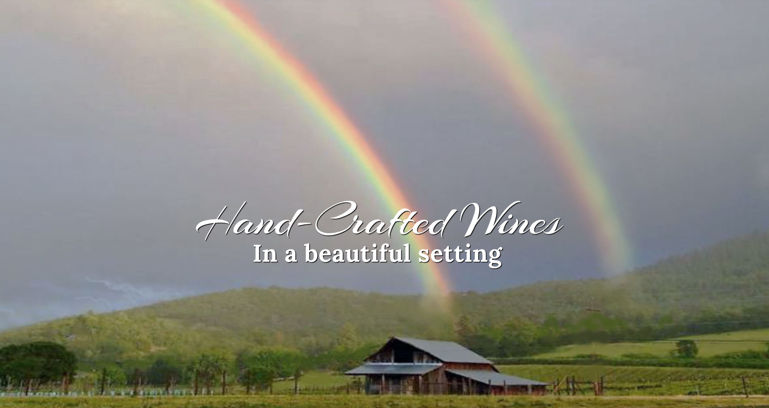 Live Music - Aurora Vines