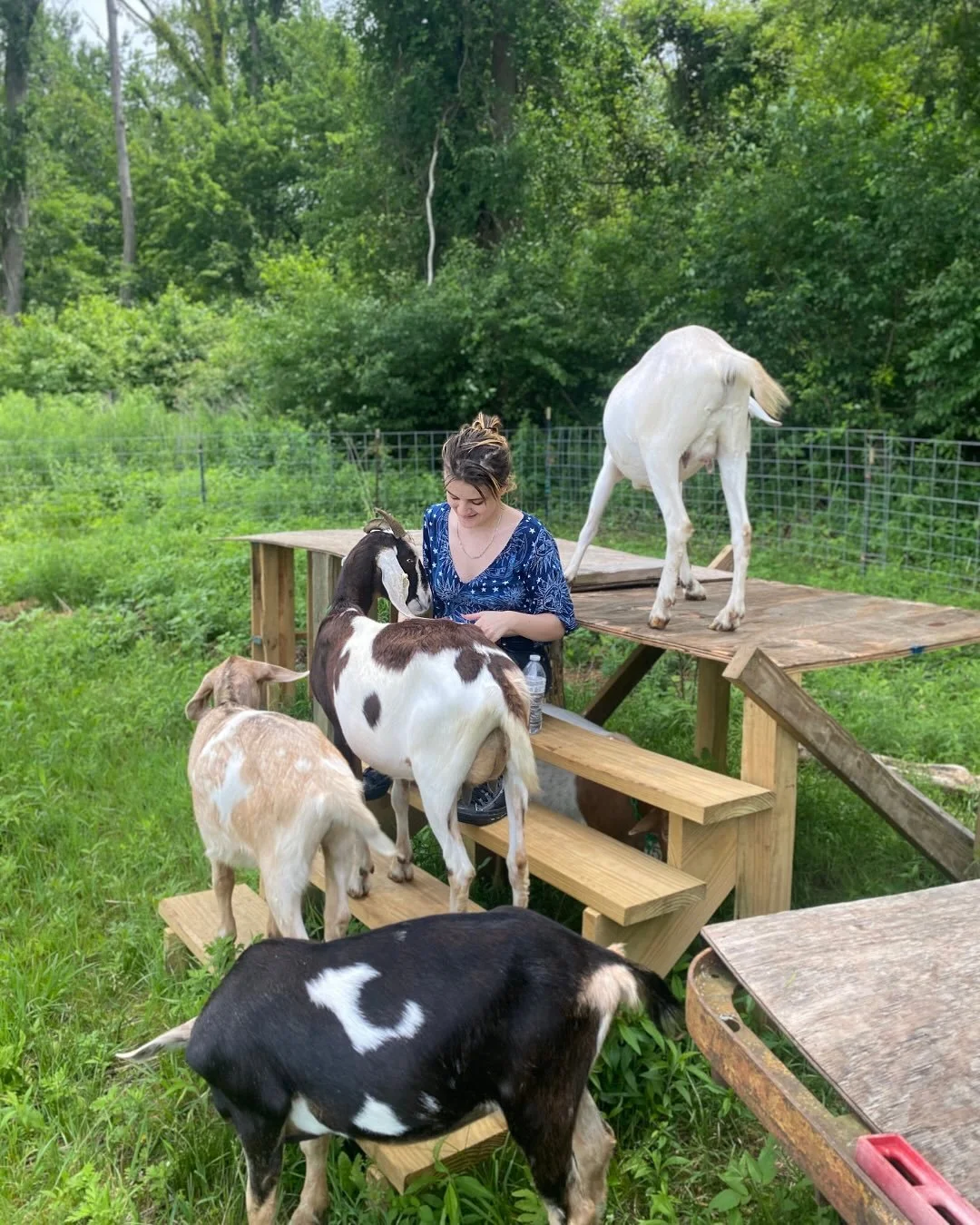 Shout out to @gathergoats for an amazing day of goat figure drawing @gather.farm 🐐🧡