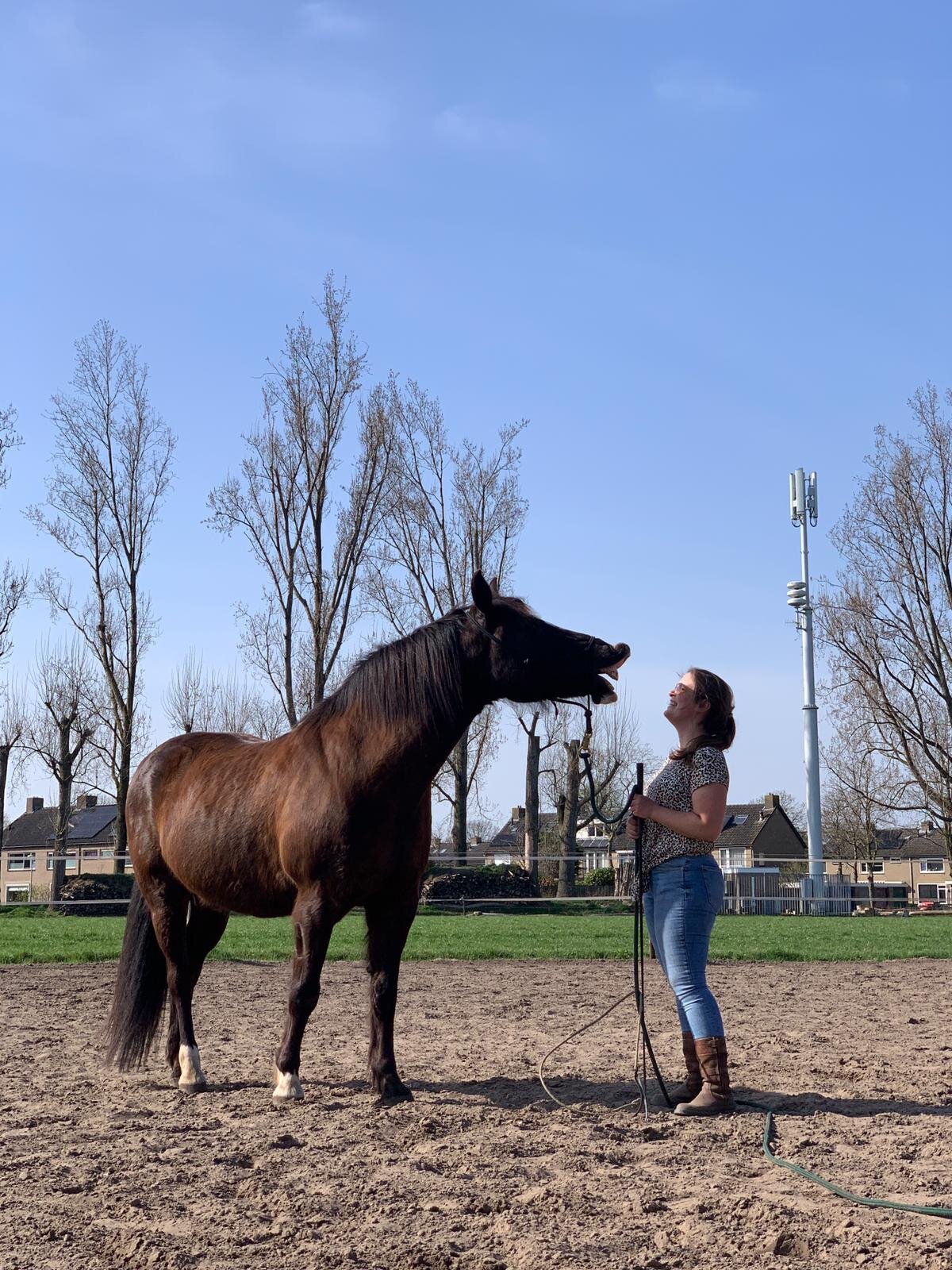 WhatsApp Image 2021-09-21 at 19.31.15.jpeg