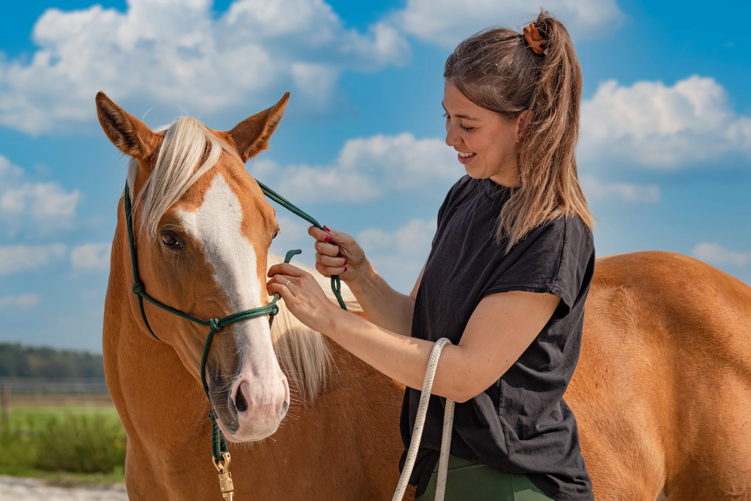 Workshop: In Tune met je Tack!