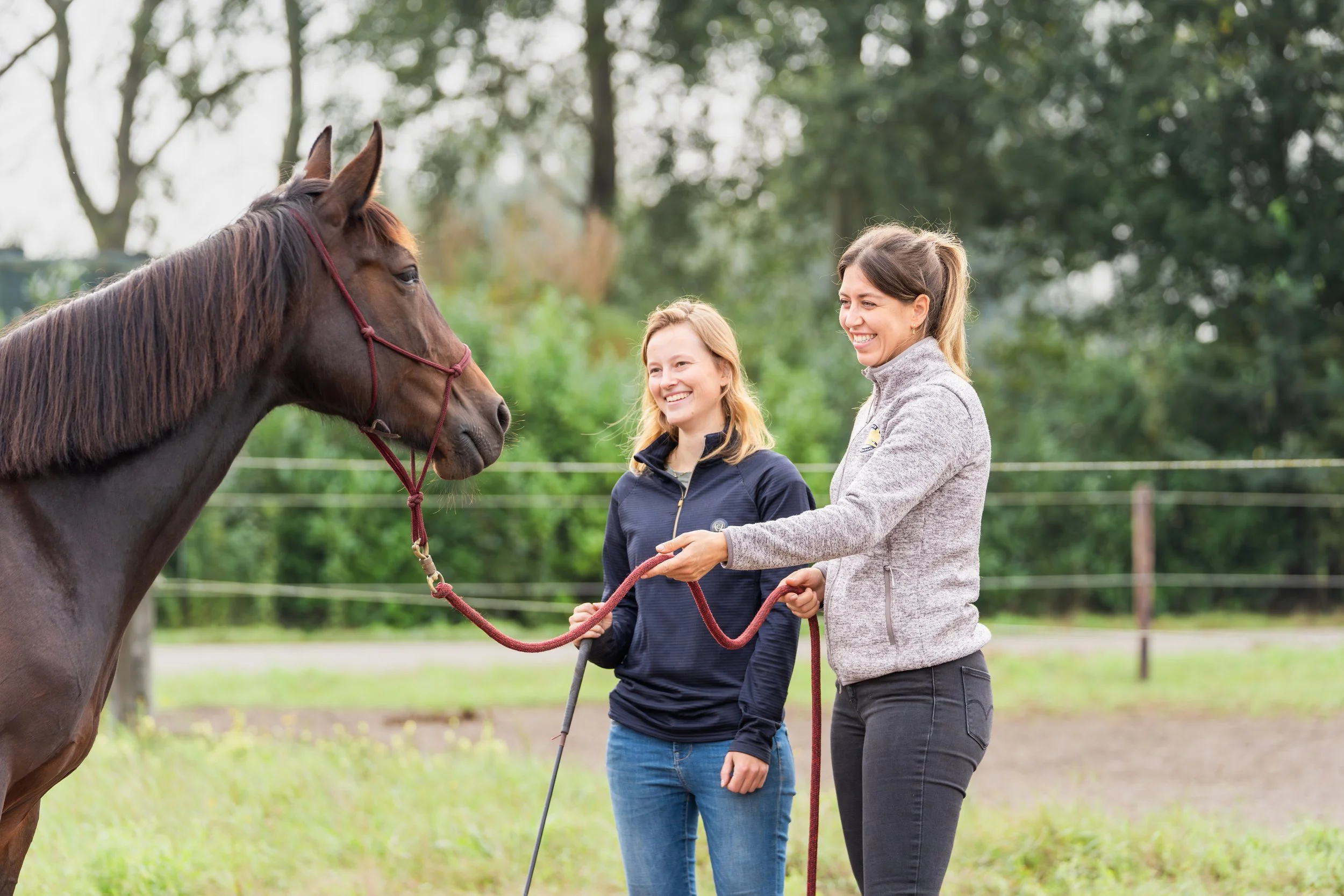 Horsemanship 3-daagse November