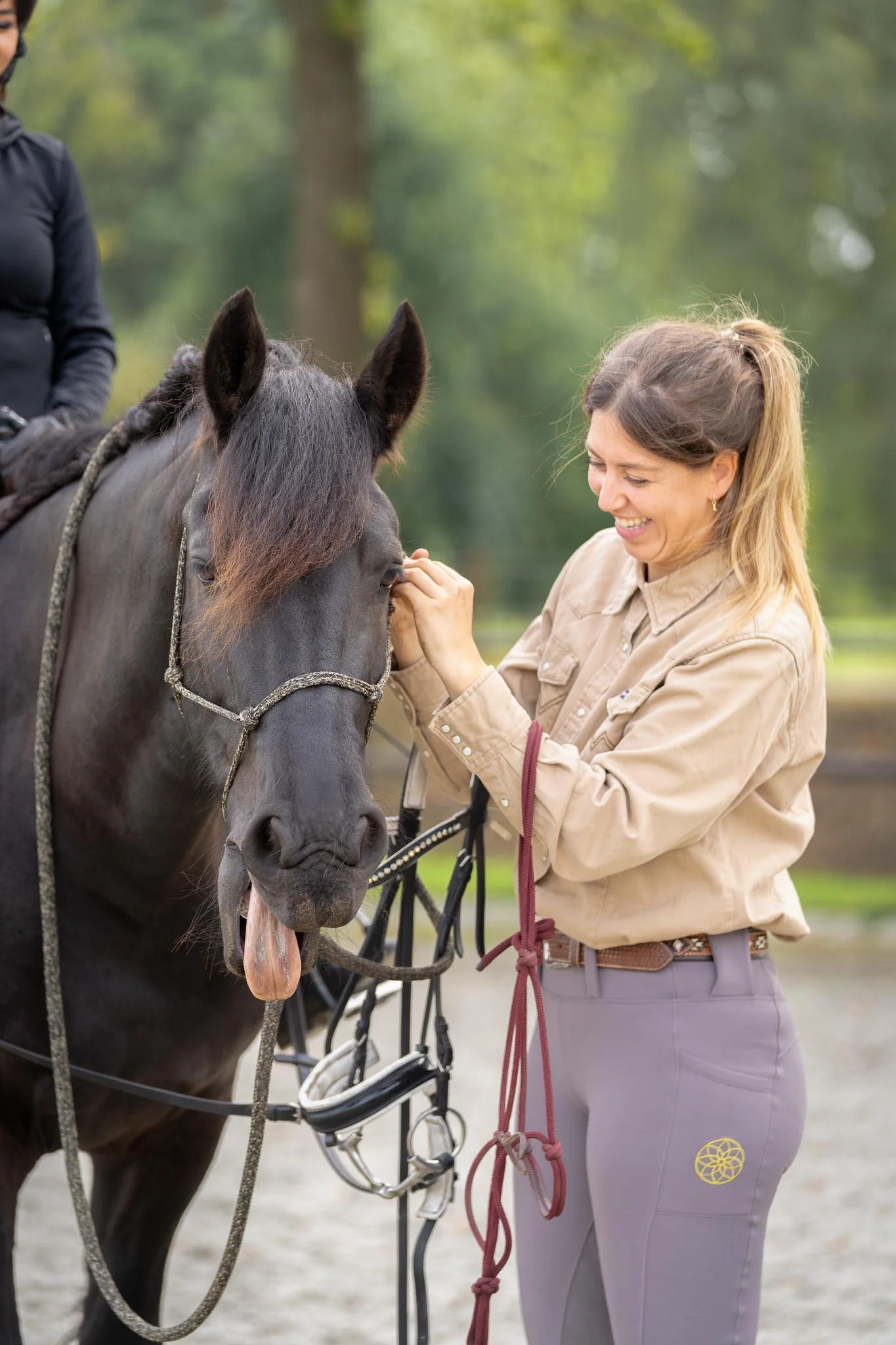 Parelli Natural Horsemanship IRENE Horsemanship