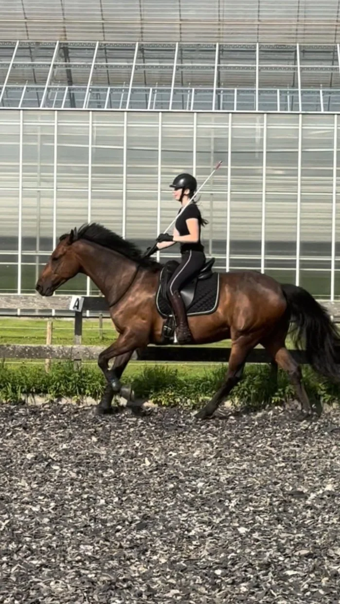 Schermafbeelding 2024-10-01 om 09.58.46.jpg