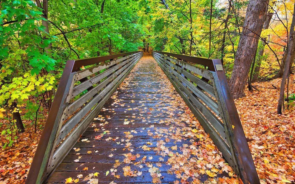 Ainsley’s Favourite Places to Ride Bikes in Toronto