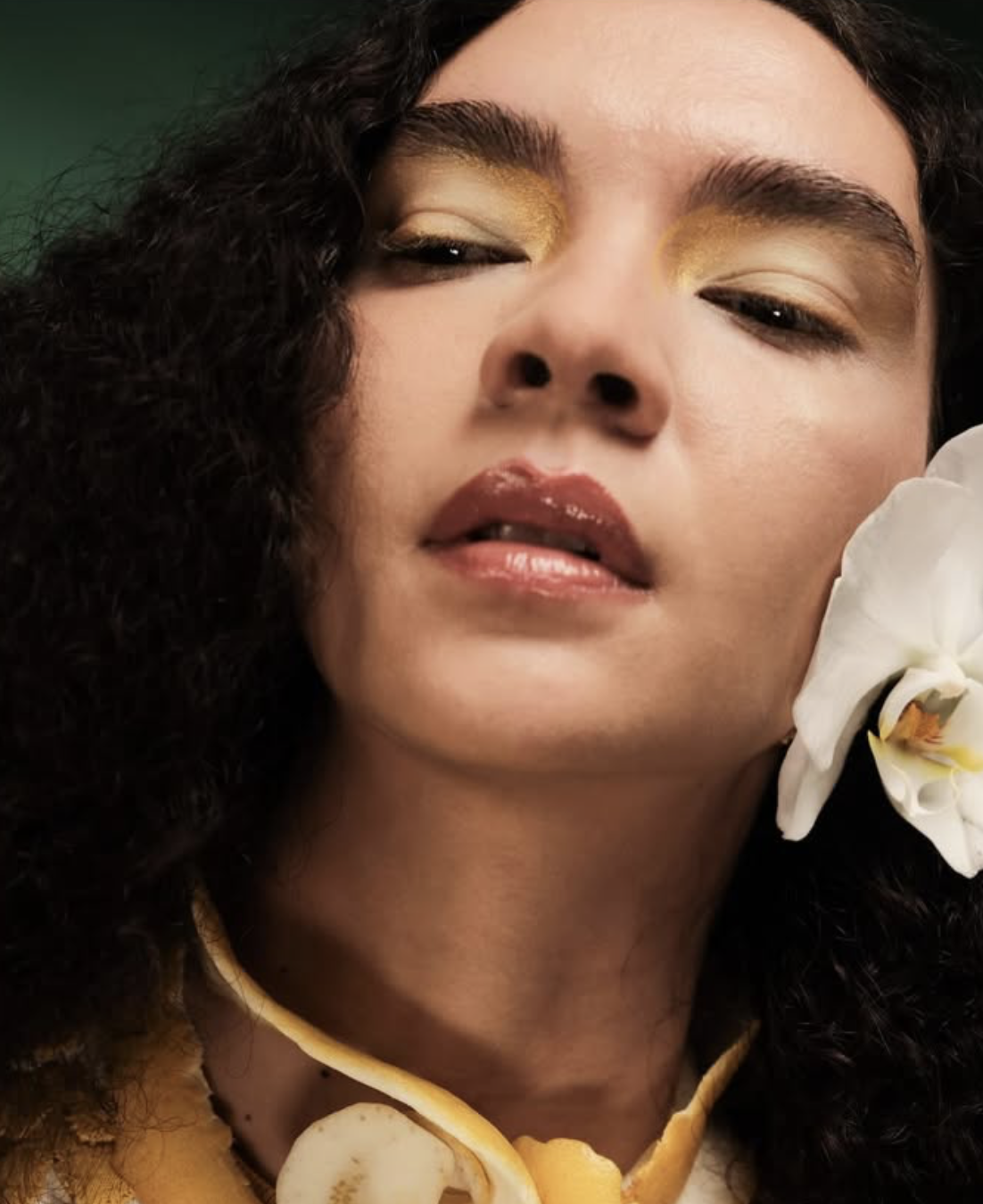 Screenshot 2026-01-27 at 12.05.02 PM.png