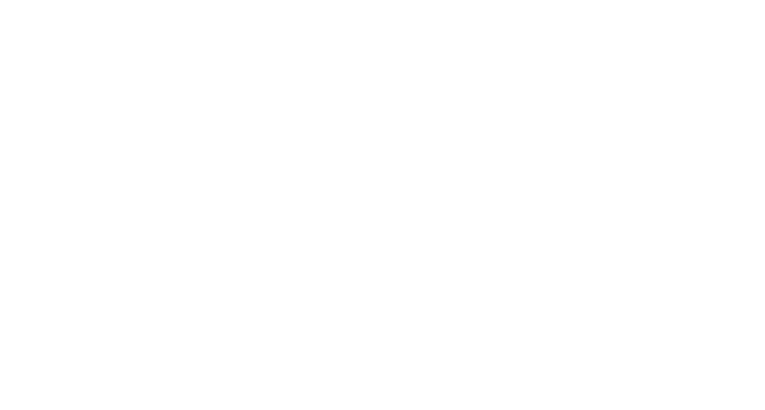 CC WITT