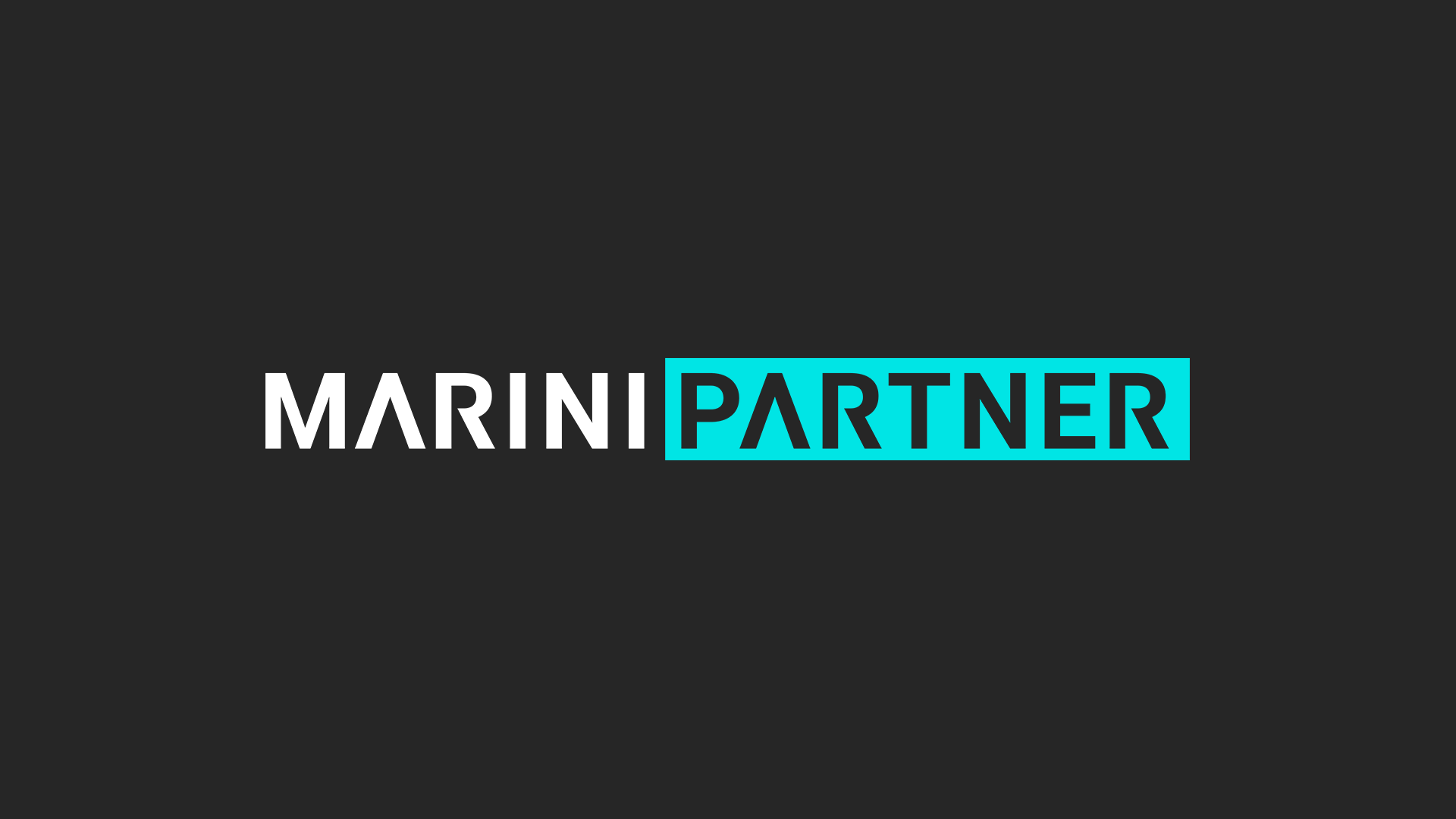 Marini_Partnerlogo.gif