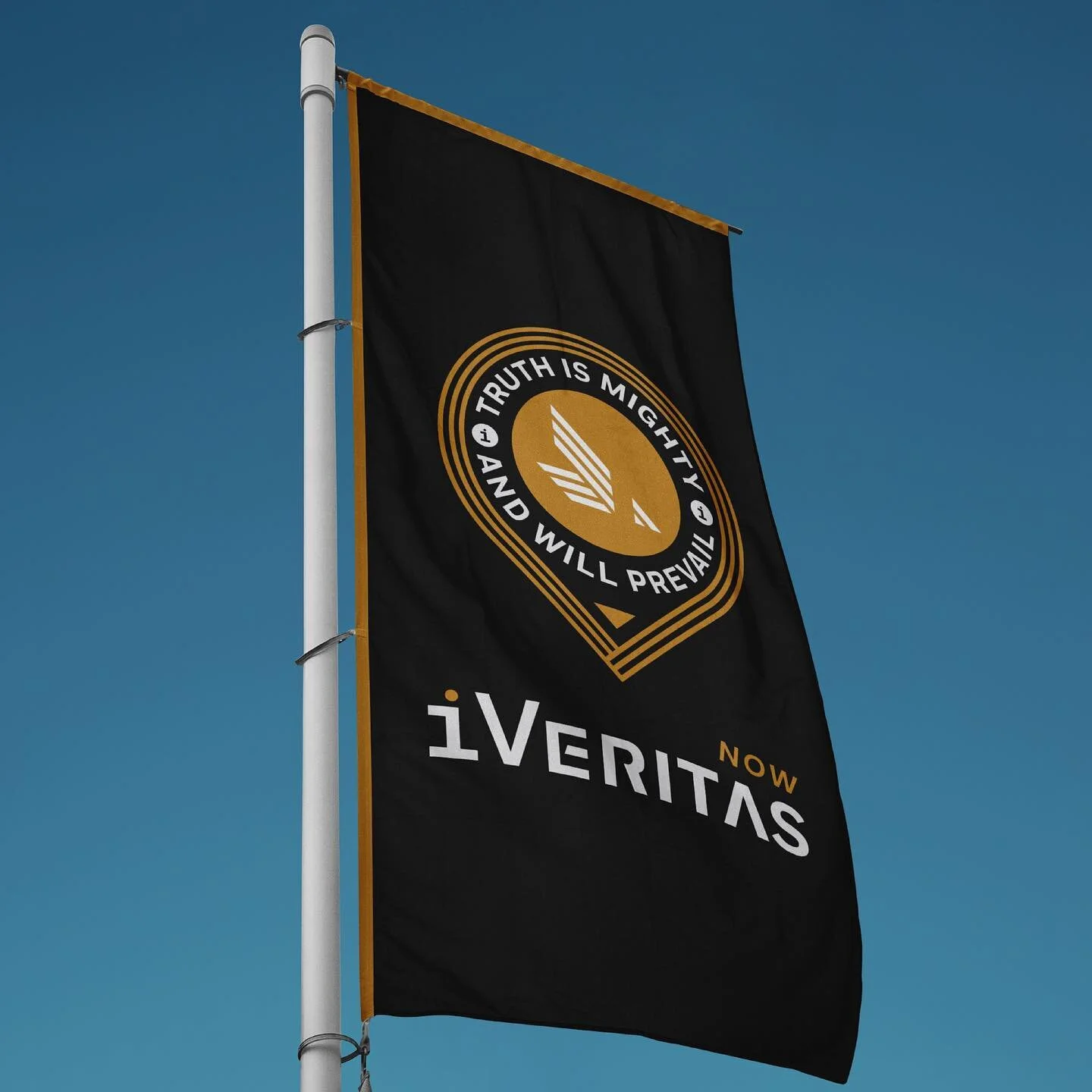 &ldquo;The truth is mighty and will prevail.&rdquo;

Logo design and branding for polygraph testing agency i Veritas Now.
.
.
.
.
#logo #eagle #truth #polygraph #design #art #blackandgold #branding #polygraphtest