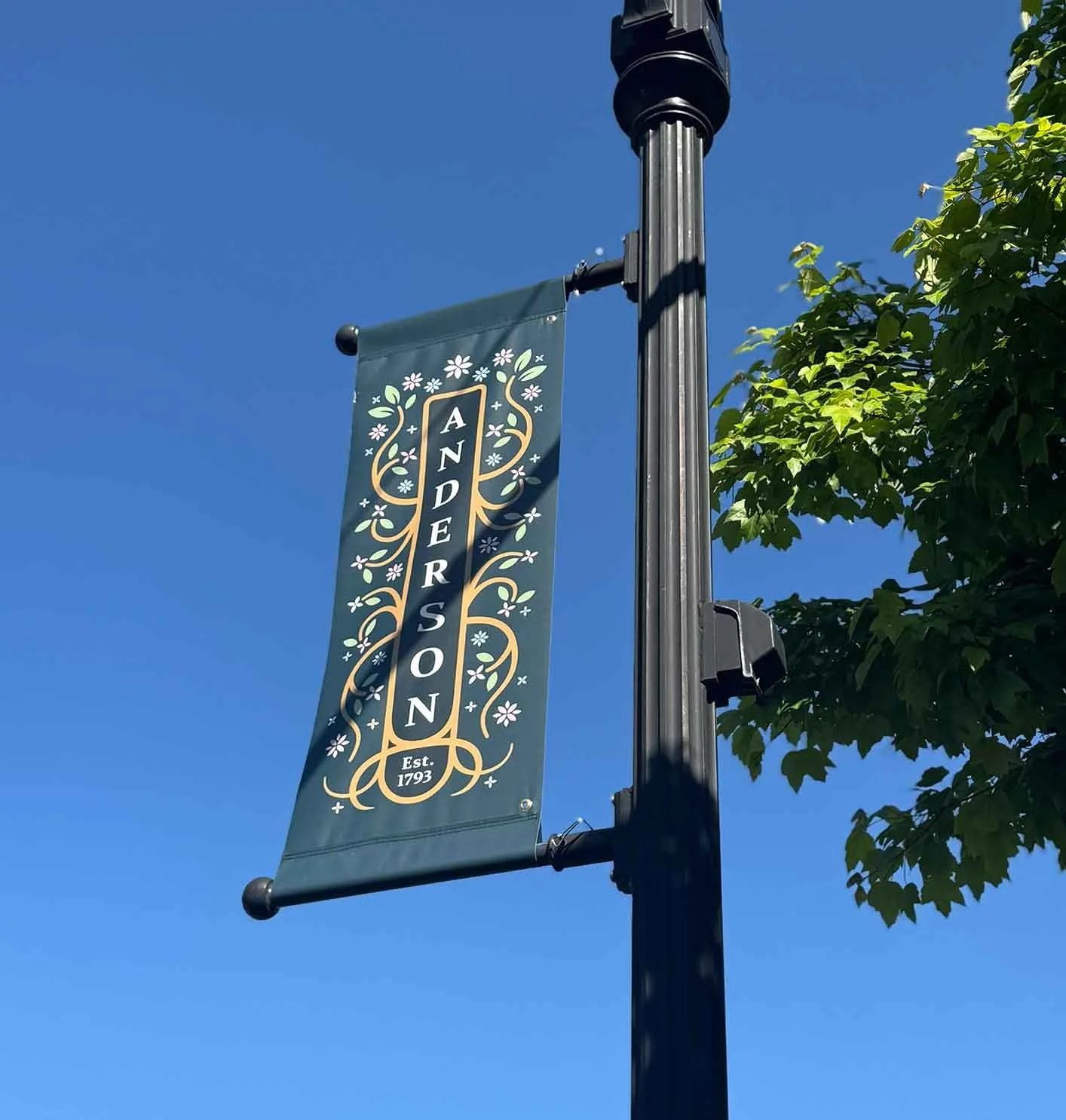 An image of a banner for Anderson Township.