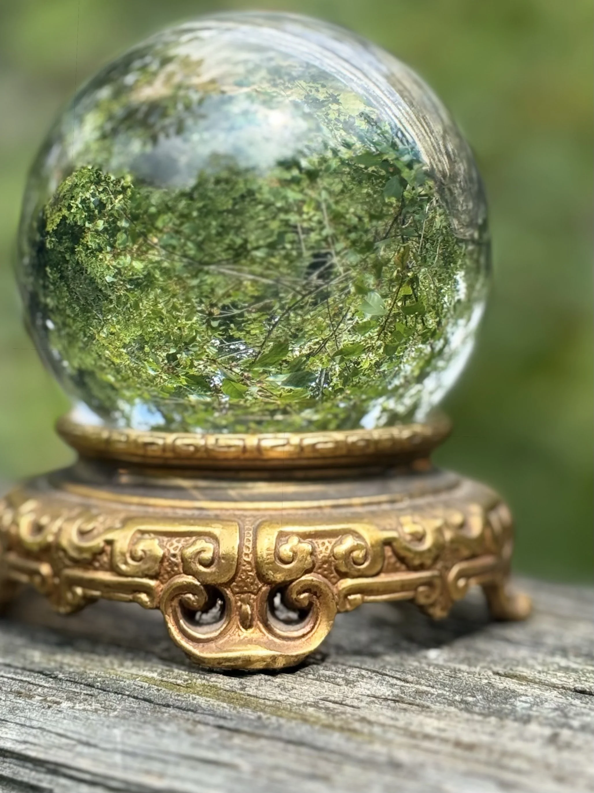 asian orb3.jpg