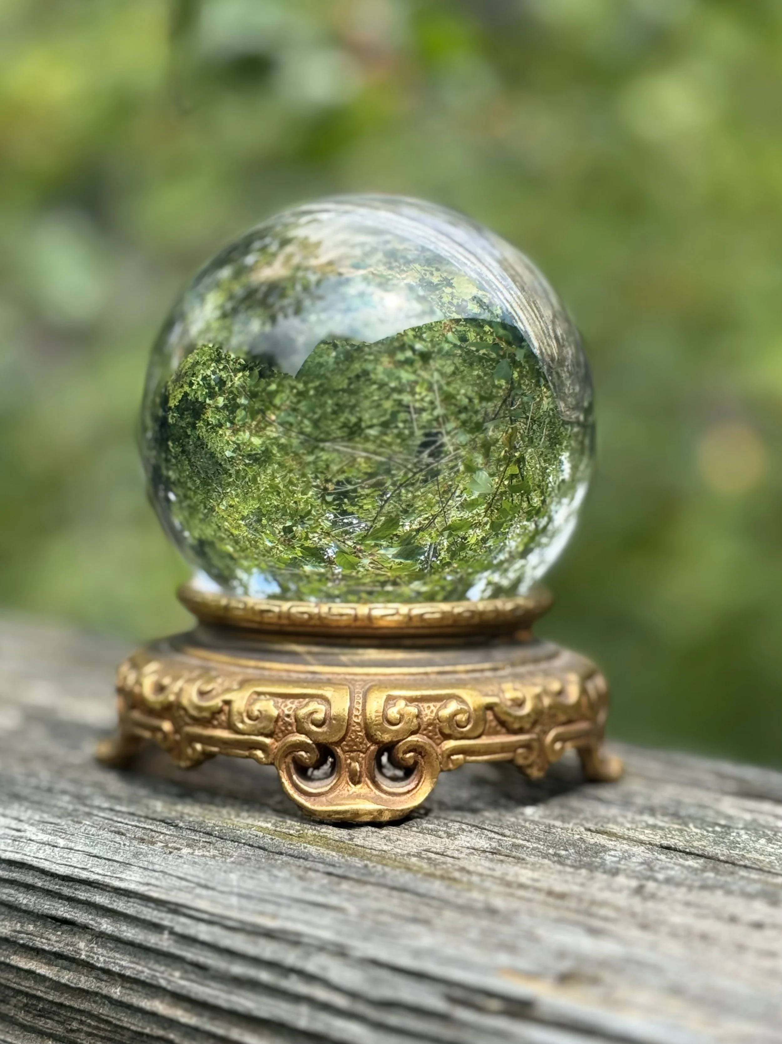 asian orb 4.jpg