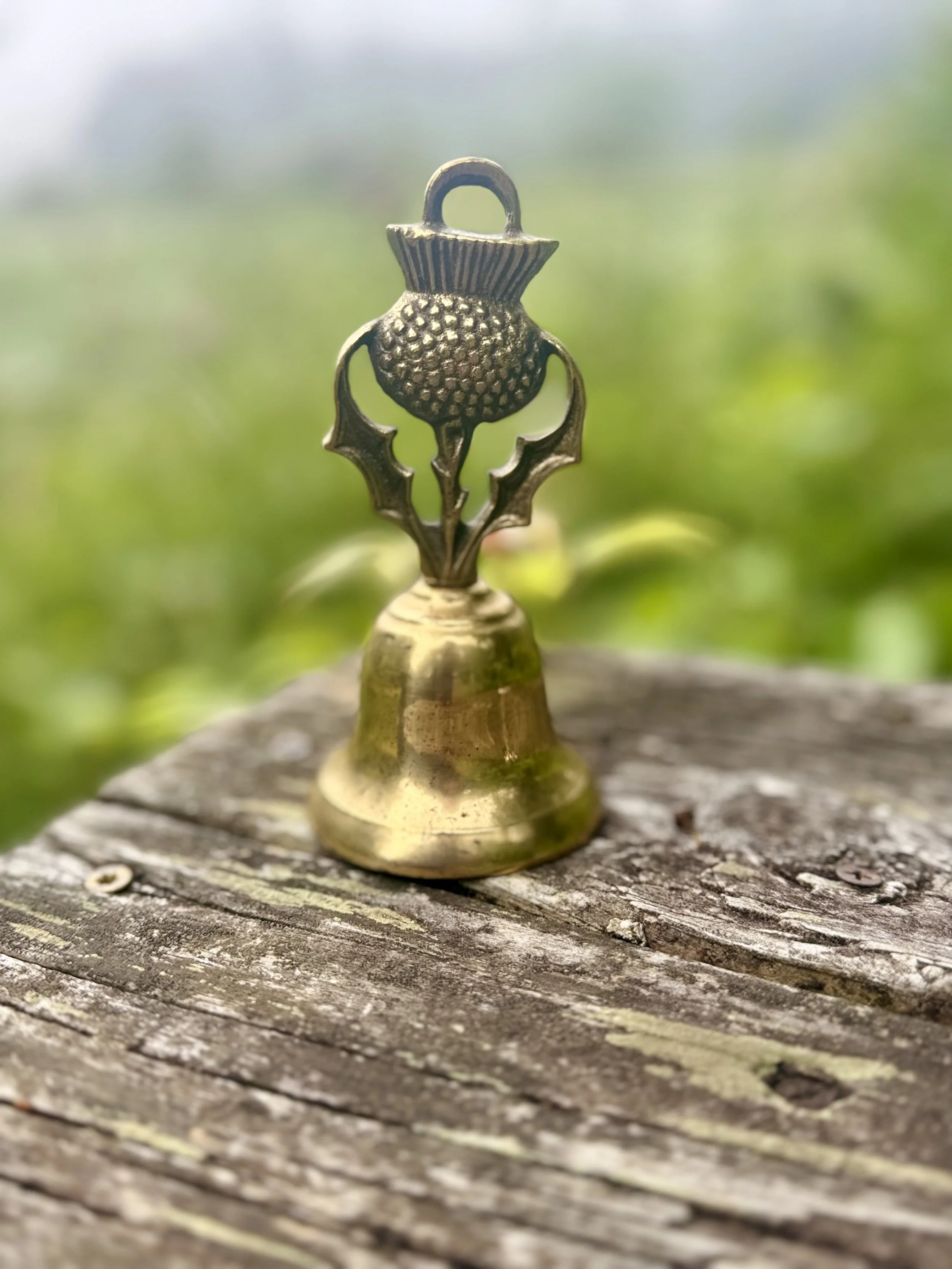 bell6.jpg