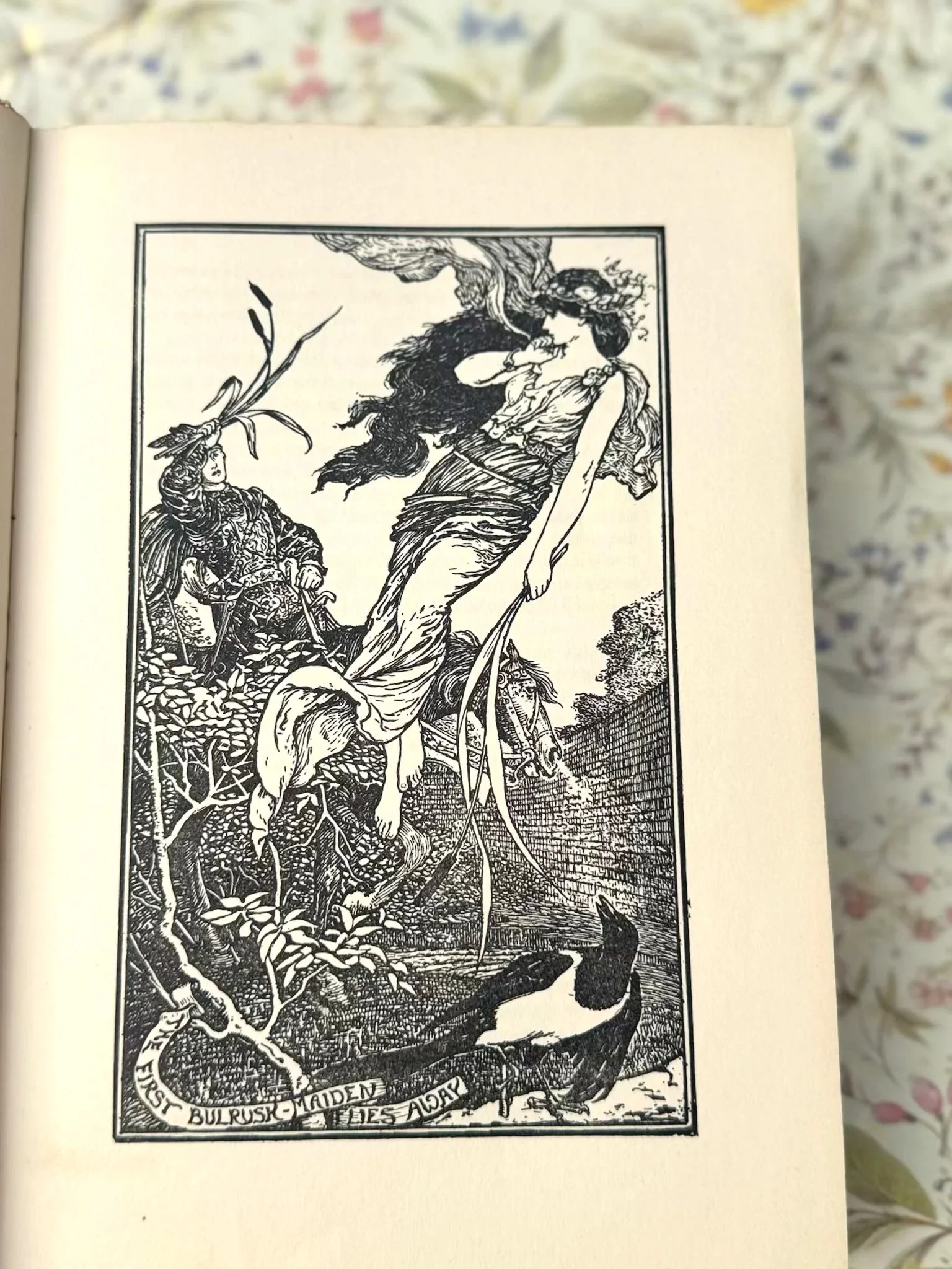 crimson+fairy+book+3.jpg